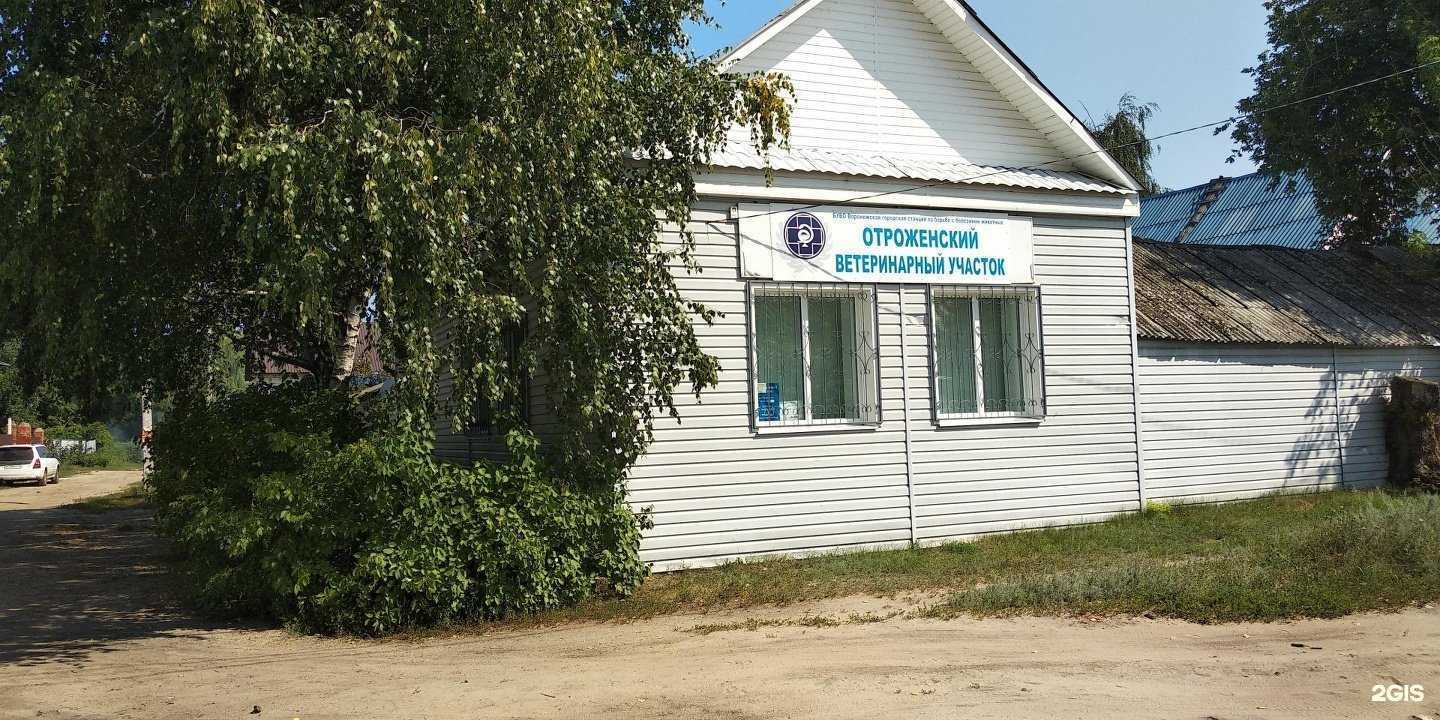 Отзывы на компанию Воронежская городская станция по борьбе с болезнями животных в г. Воронеж c фото