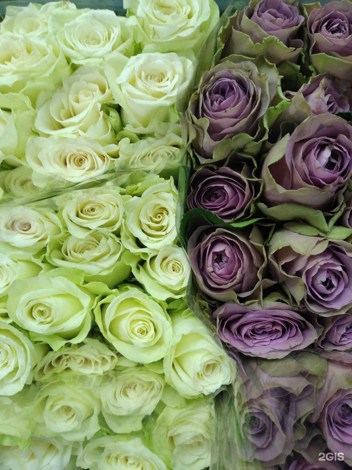 Отзывы на компанию Цветочный склад-магазин в Тюмени c фото