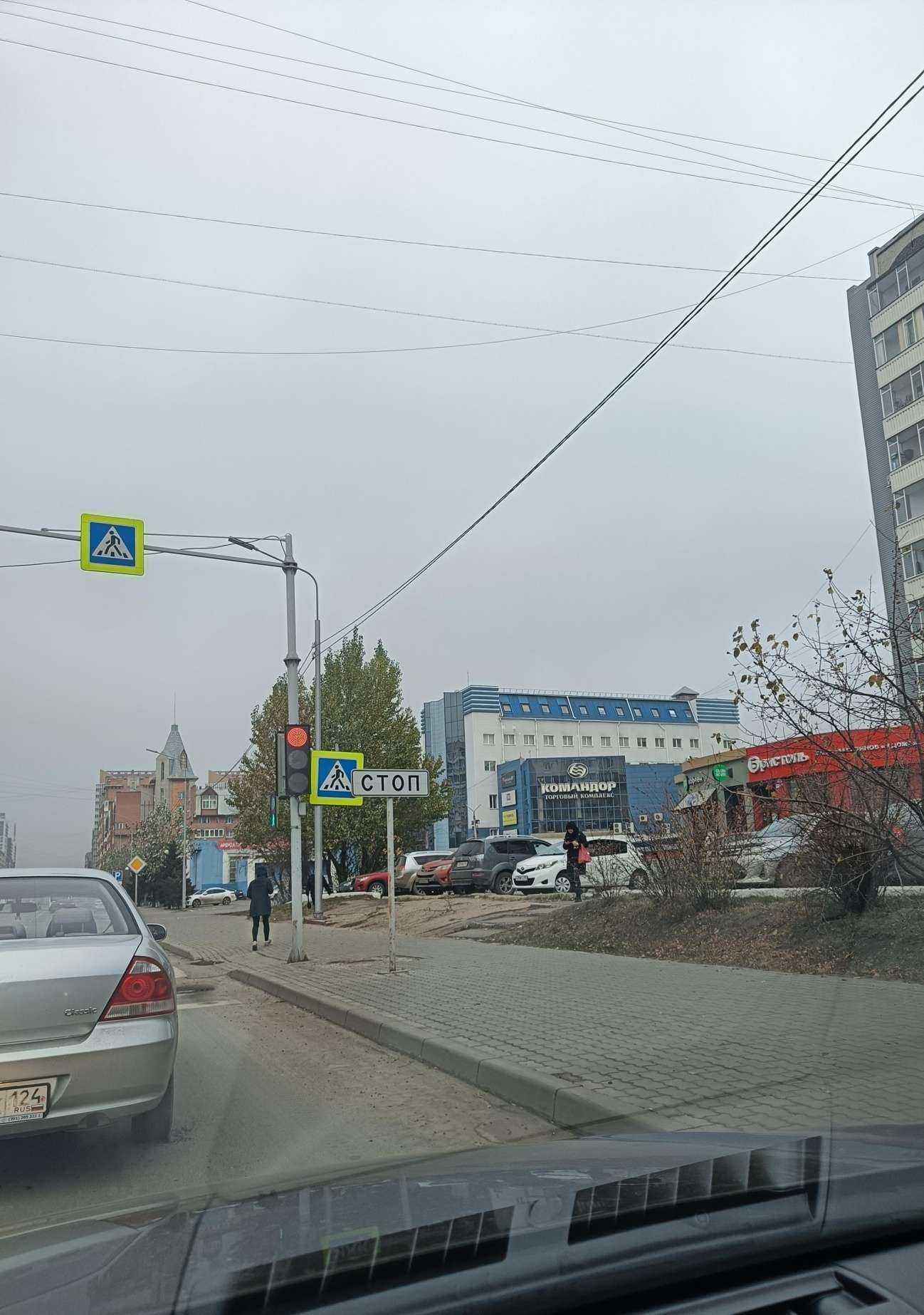 Отзывы на компанию Мокрый нос в Красноярске c фото - фотография 2 из 2