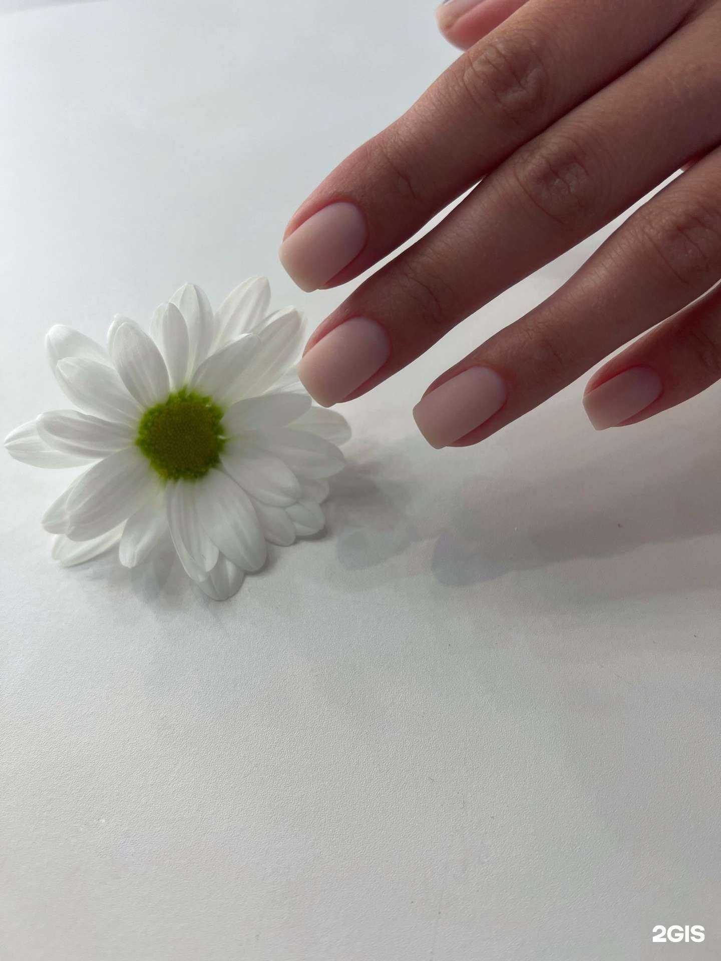 Отзывы на компанию Nails studio krona в г. Комсомольск-на-Амуре c фото