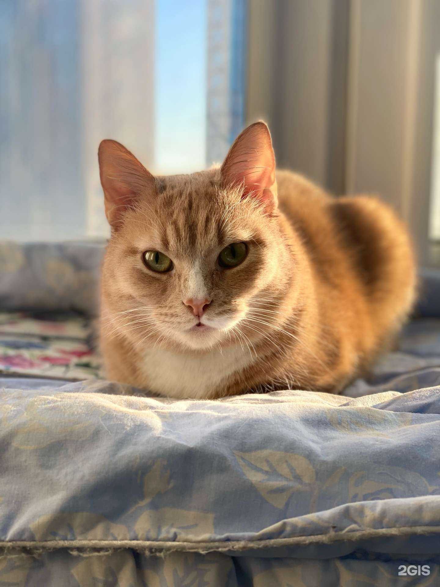 Отзывы на компанию Green Terra в Салавате c фото