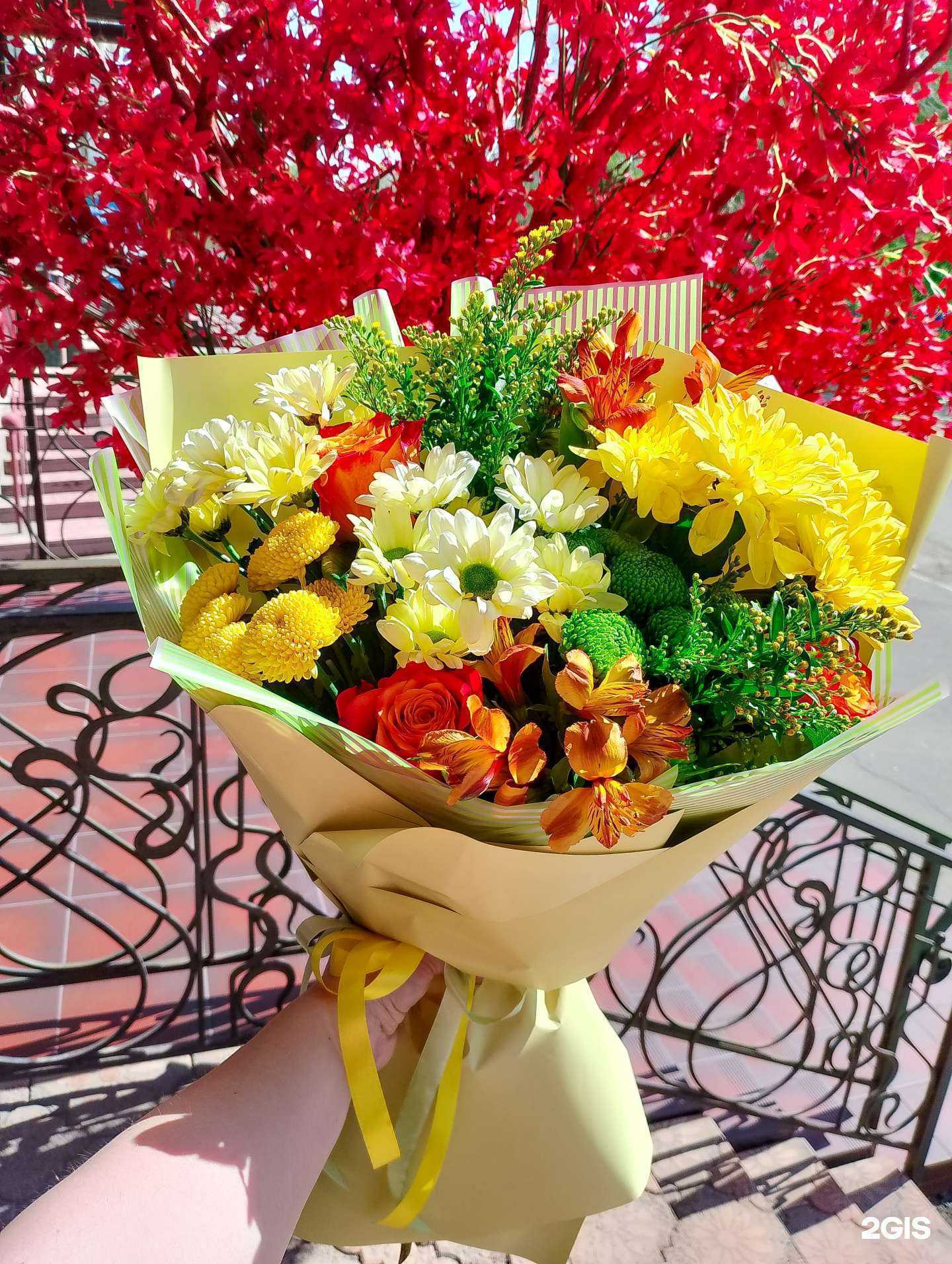 Отзывы на компанию Азалия в г. Бийск c фото