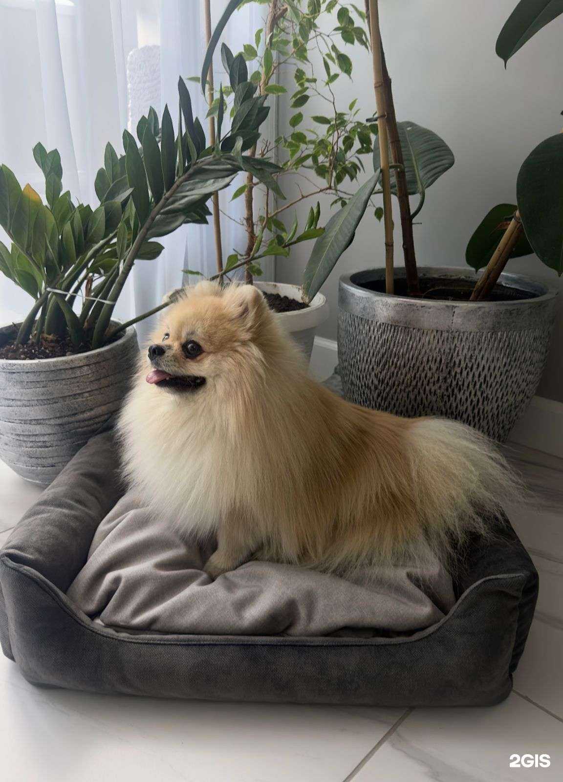 Отзывы на компанию Columbo в Ставрополе c фото