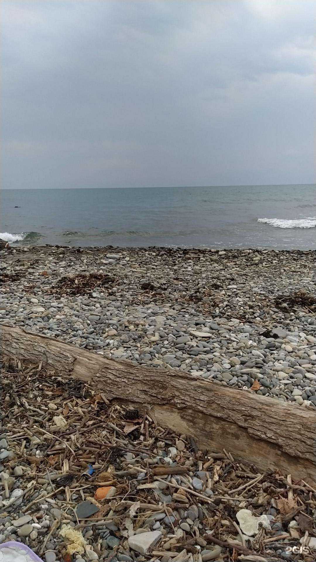 Отзывы на компанию Морской Эдем в Сочи c фото