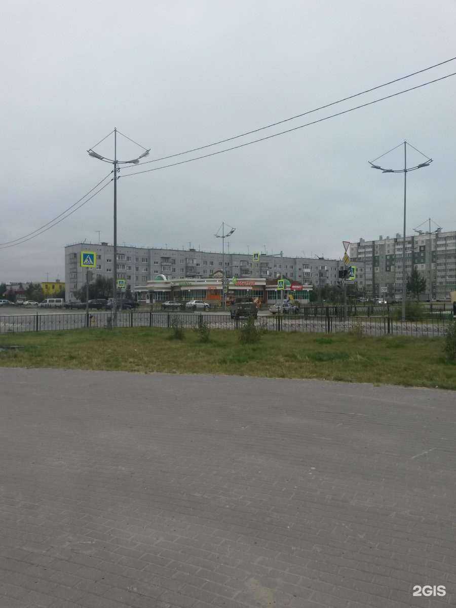 Отзывы на компанию Черемушки в Новом Уренгое c фото - фотография 2 из 2