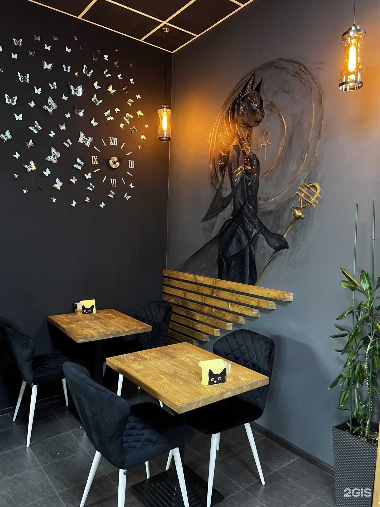 Отзывы на компанию Бастет в Петропавловске-Камчатском c фото