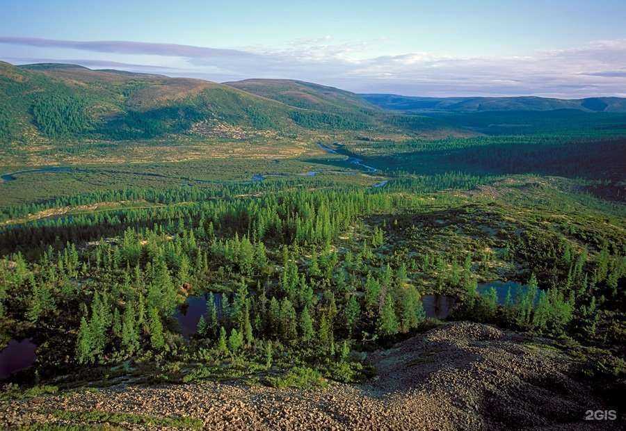 Отзывы на компанию Doctor-forest в г. Лыткарино c фото