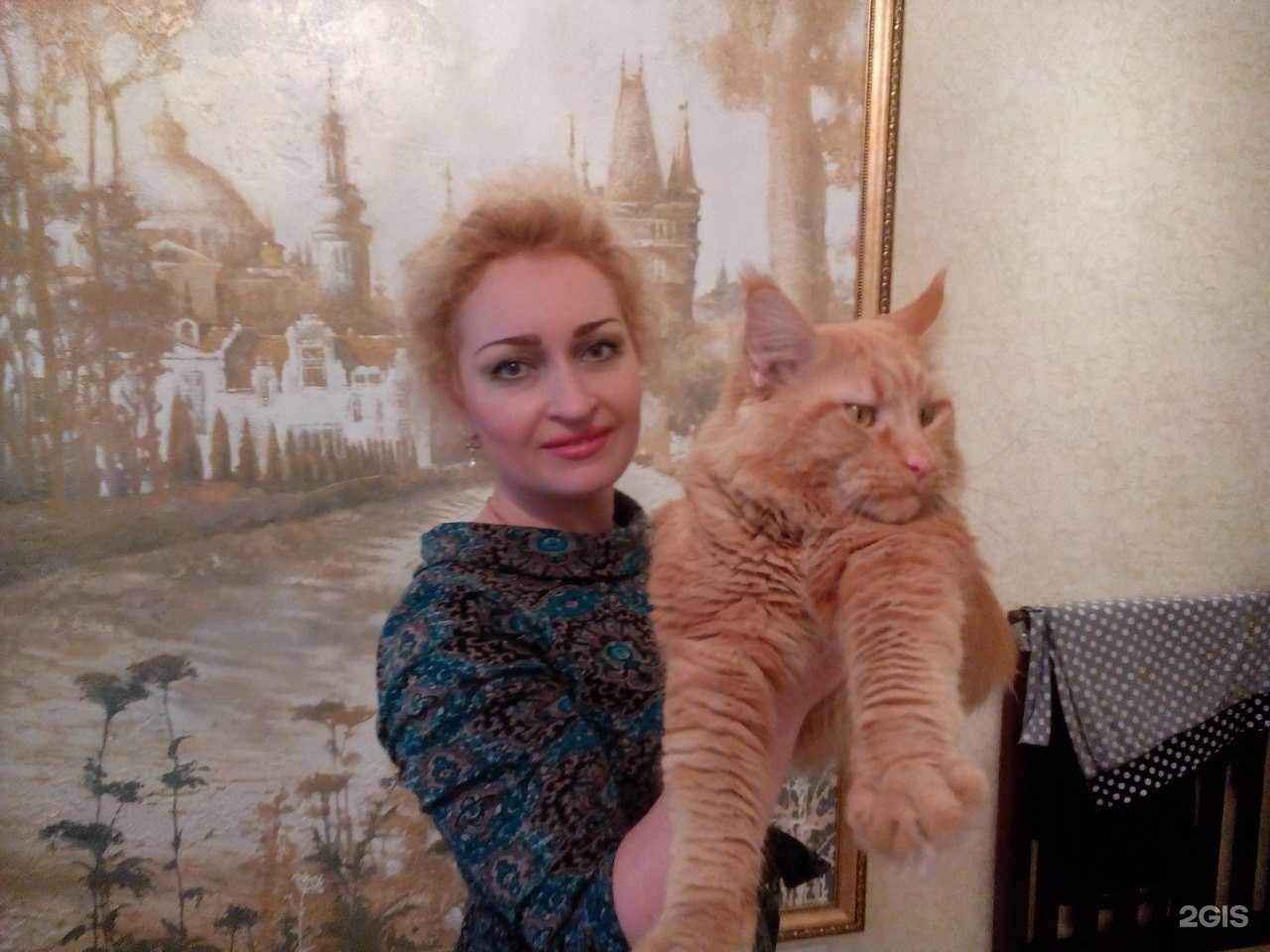 Отзывы на компанию Алека в г. Омск c фото