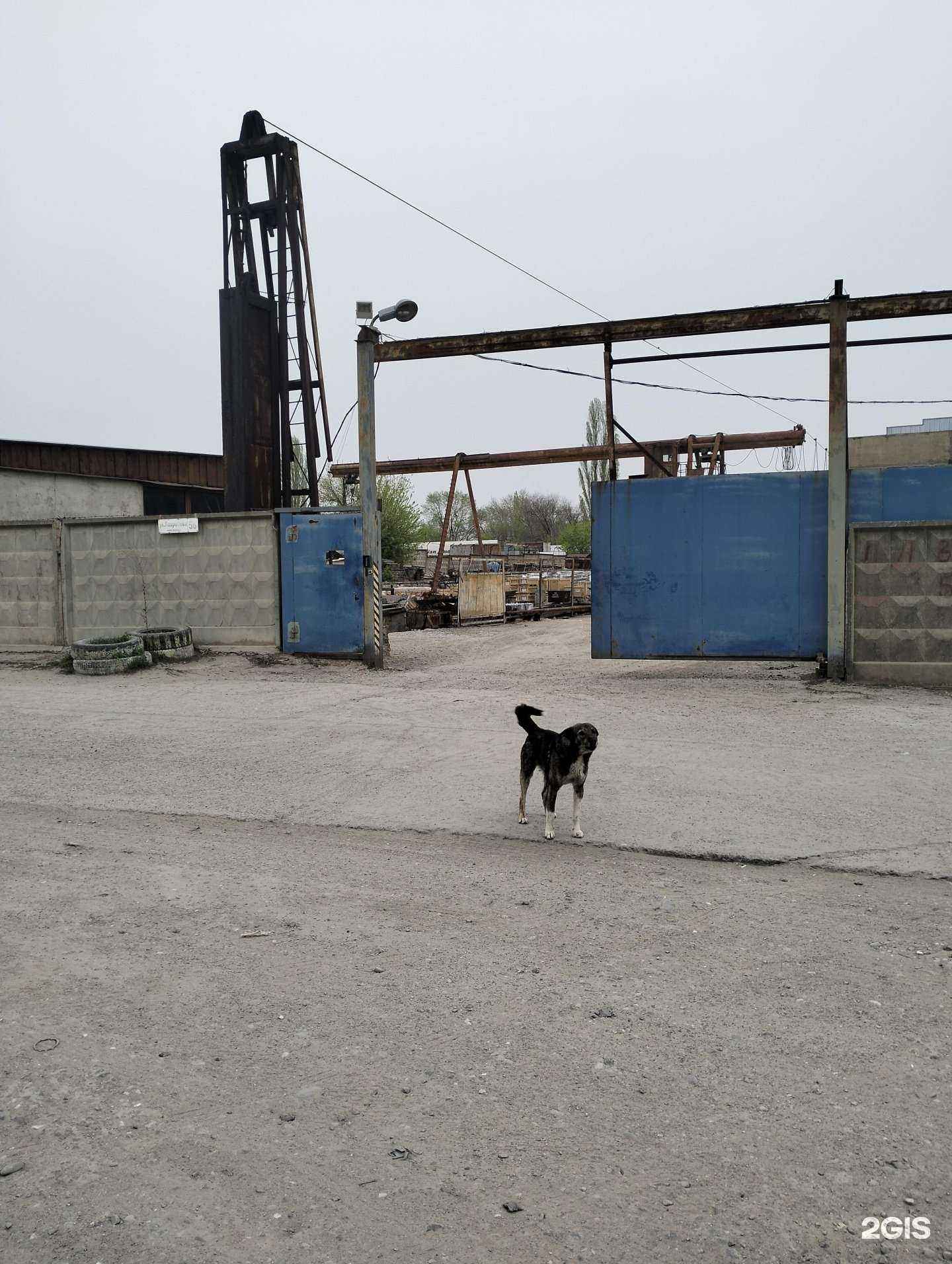 Отзывы на компанию Волгоградский завод специального машиностроения в Волгограде c фото