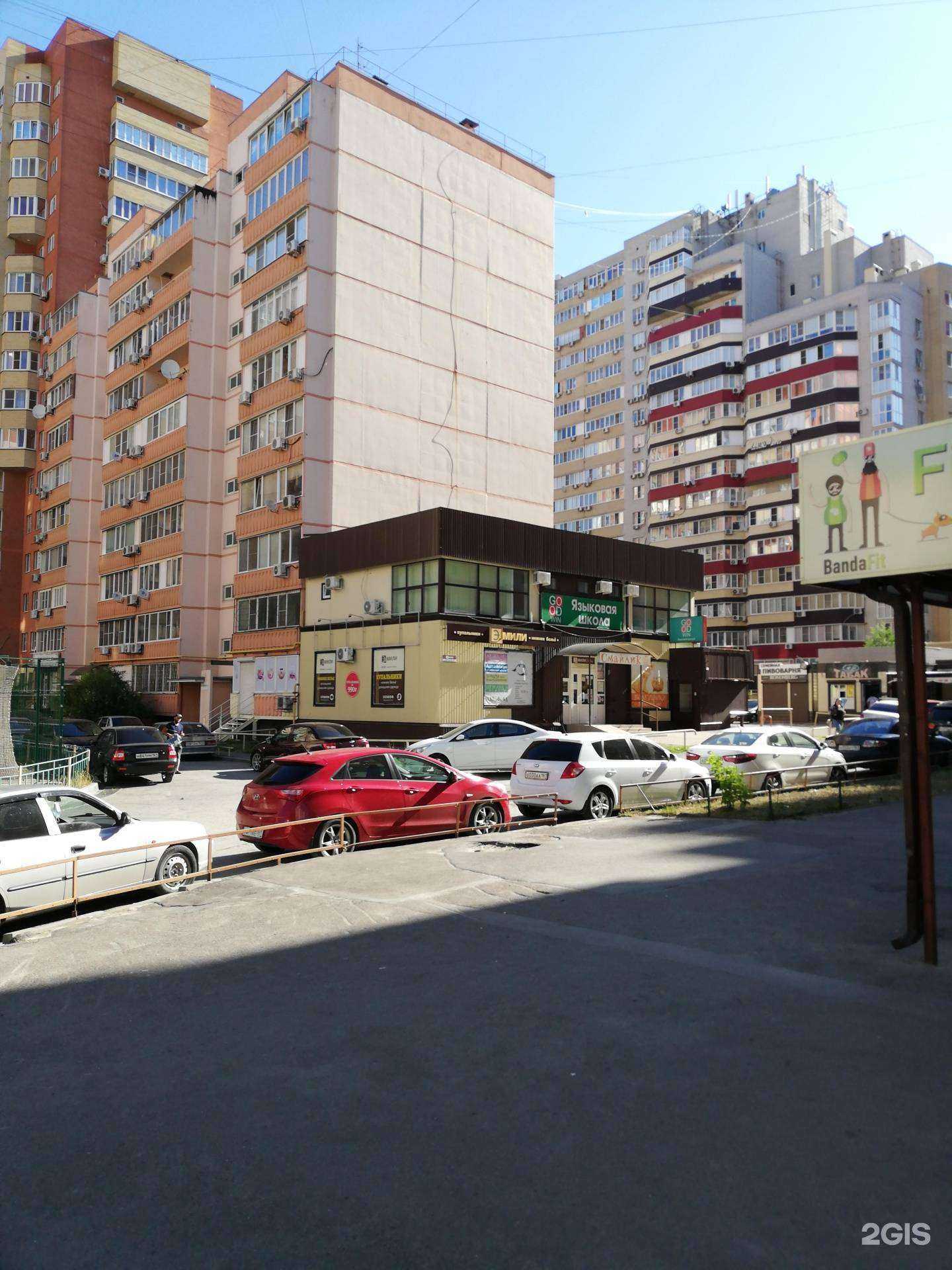 Отзывы на компанию Муха в Ростове-на-Дону c фото - фотография 2 из 2