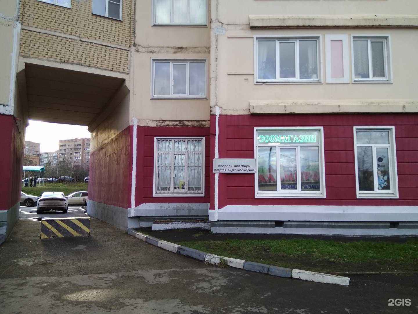 Отзывы на компанию Пальмира в Фрязине c фото