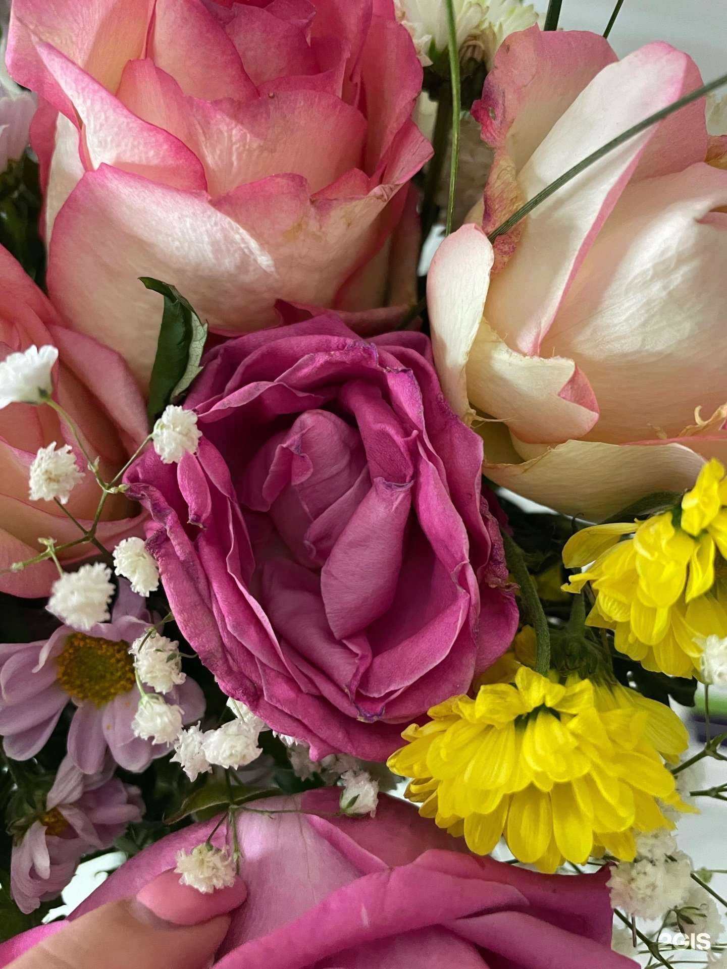 Отзывы на компанию Самцветок №1 в Самаре c фото