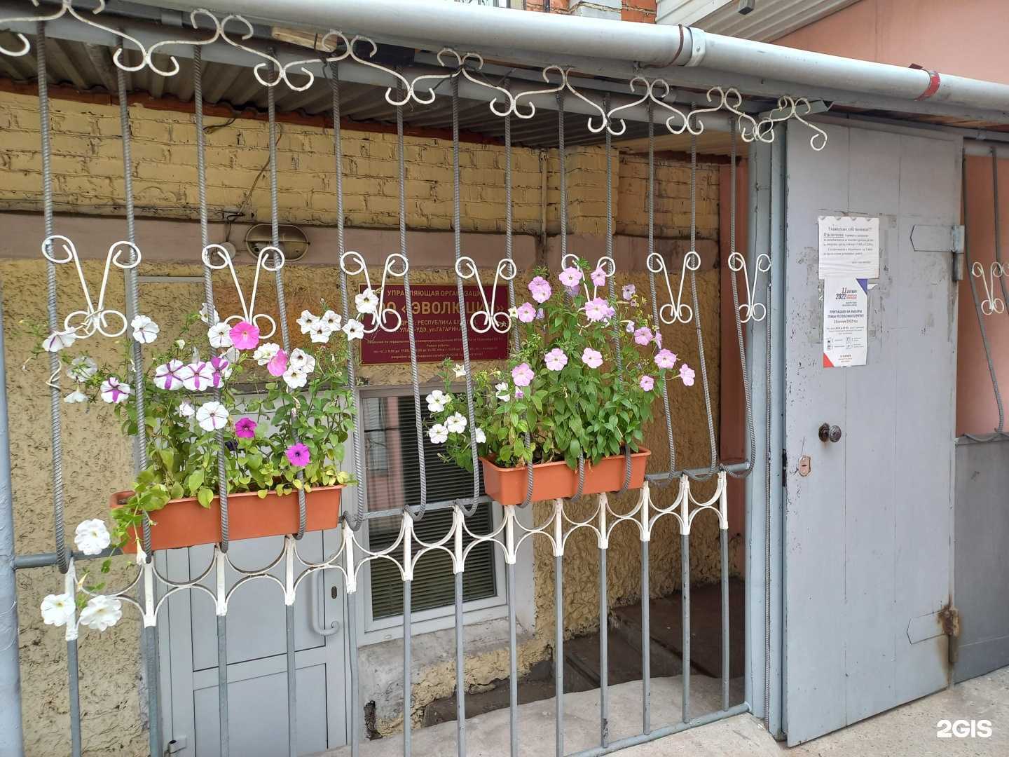 Отзывы на компанию Сервис в Улан-Удэ c фото