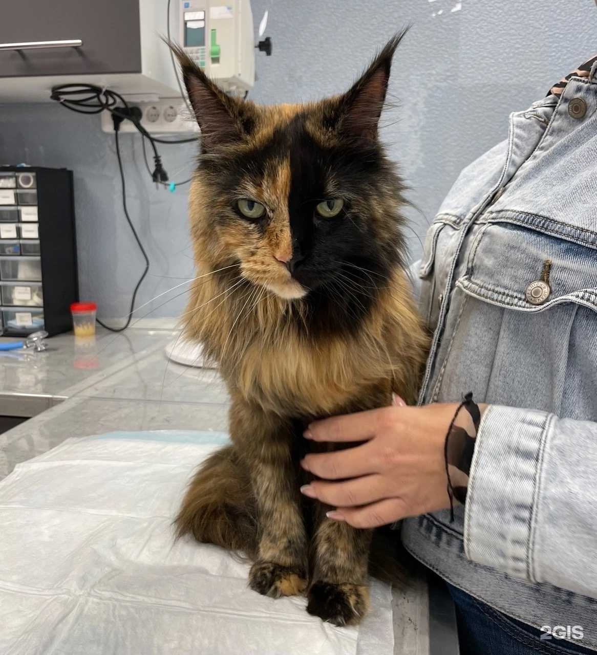 Отзывы на компанию Велес в г. Пермь c фото