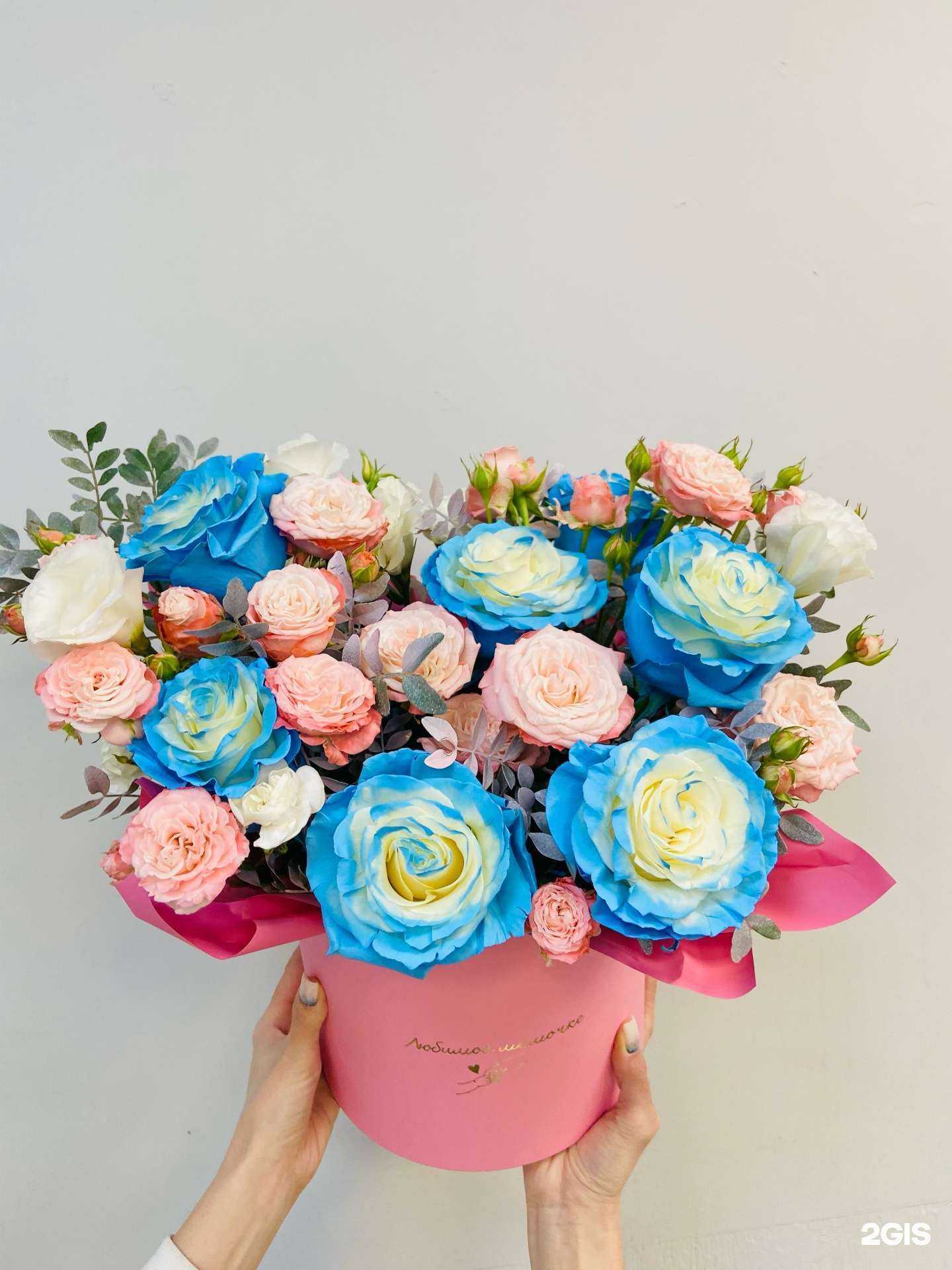 Отзывы на компанию Лайм в г. Верхняя Пышма c фото