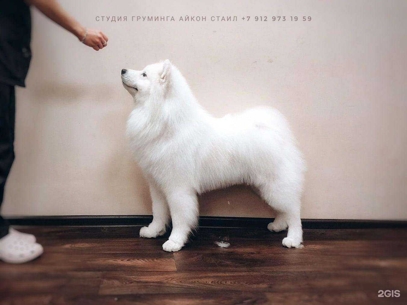 Отзывы на компанию Айкон стаил в г. Курган c фото