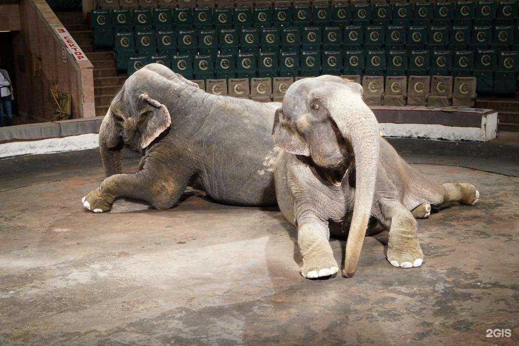 Отзывы на компанию Ростовский центр помощи детям с ограниченными возможностями здоровья №4 в г. Ростов-на-Дону c фото