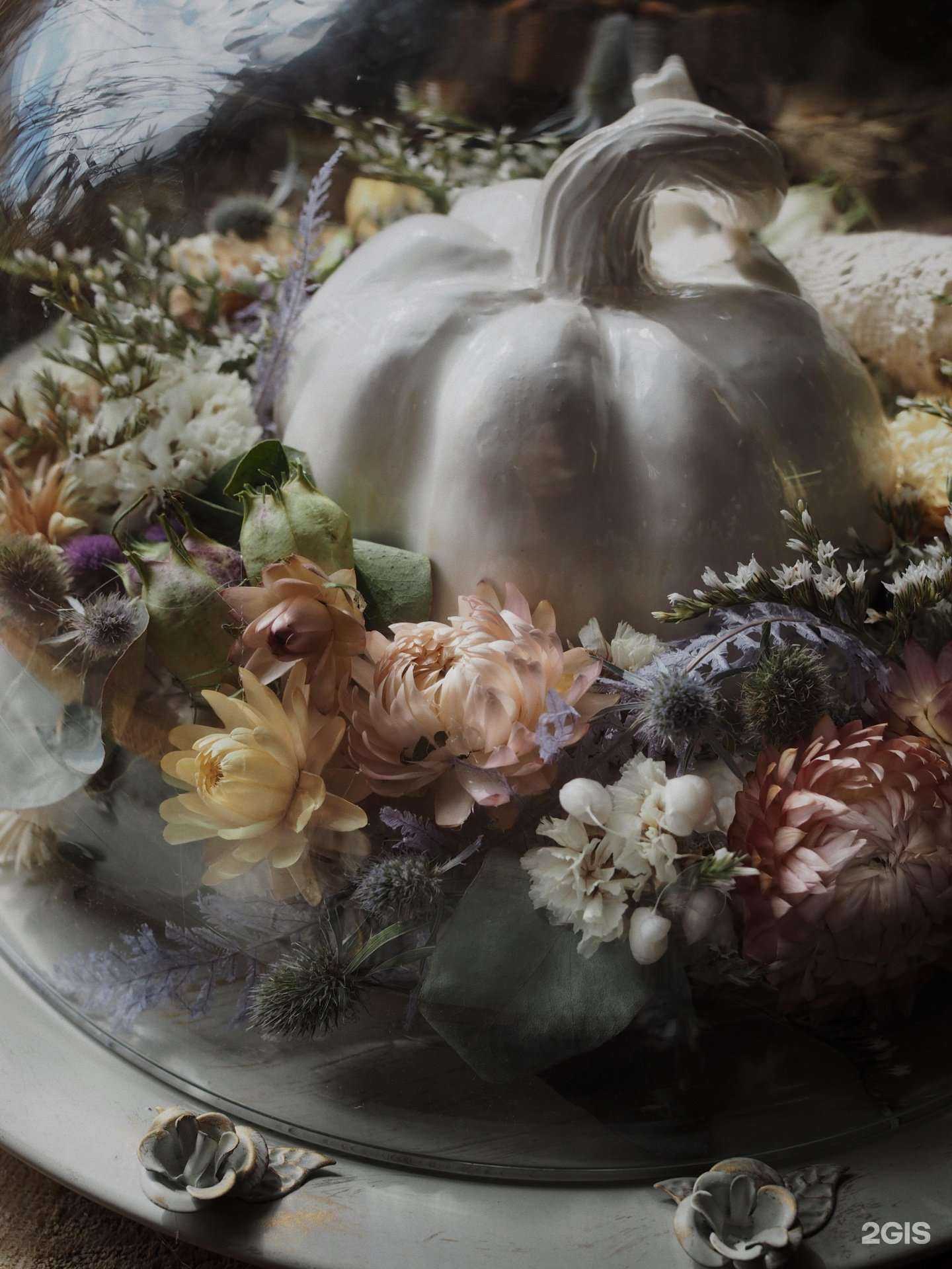 Отзывы на компанию Ботаника в г. Тула c фото