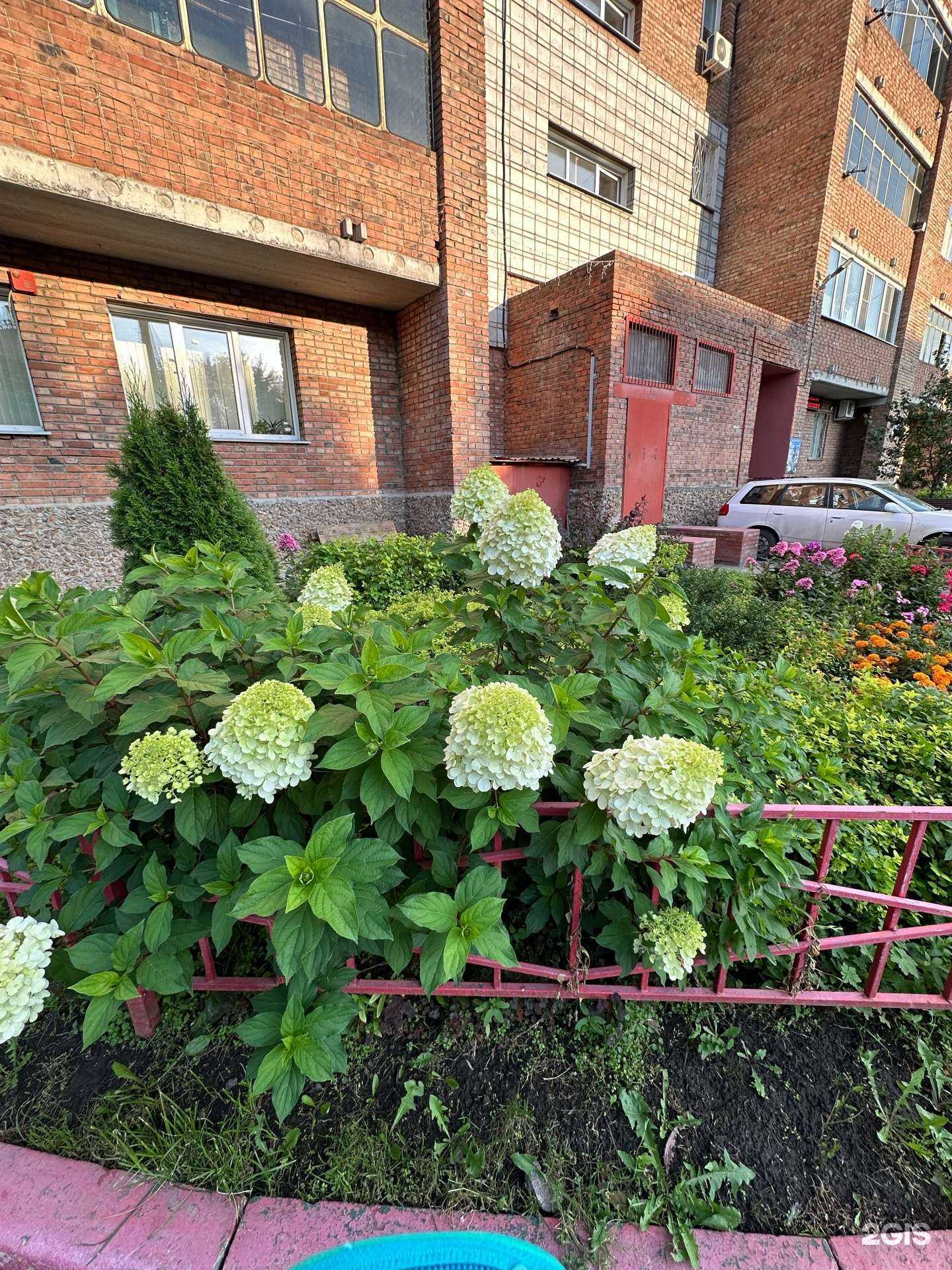 Отзывы на компанию Адвокатский кабинет Поручаева В.В. в Новосибирске c фото - фотография 2 из 2