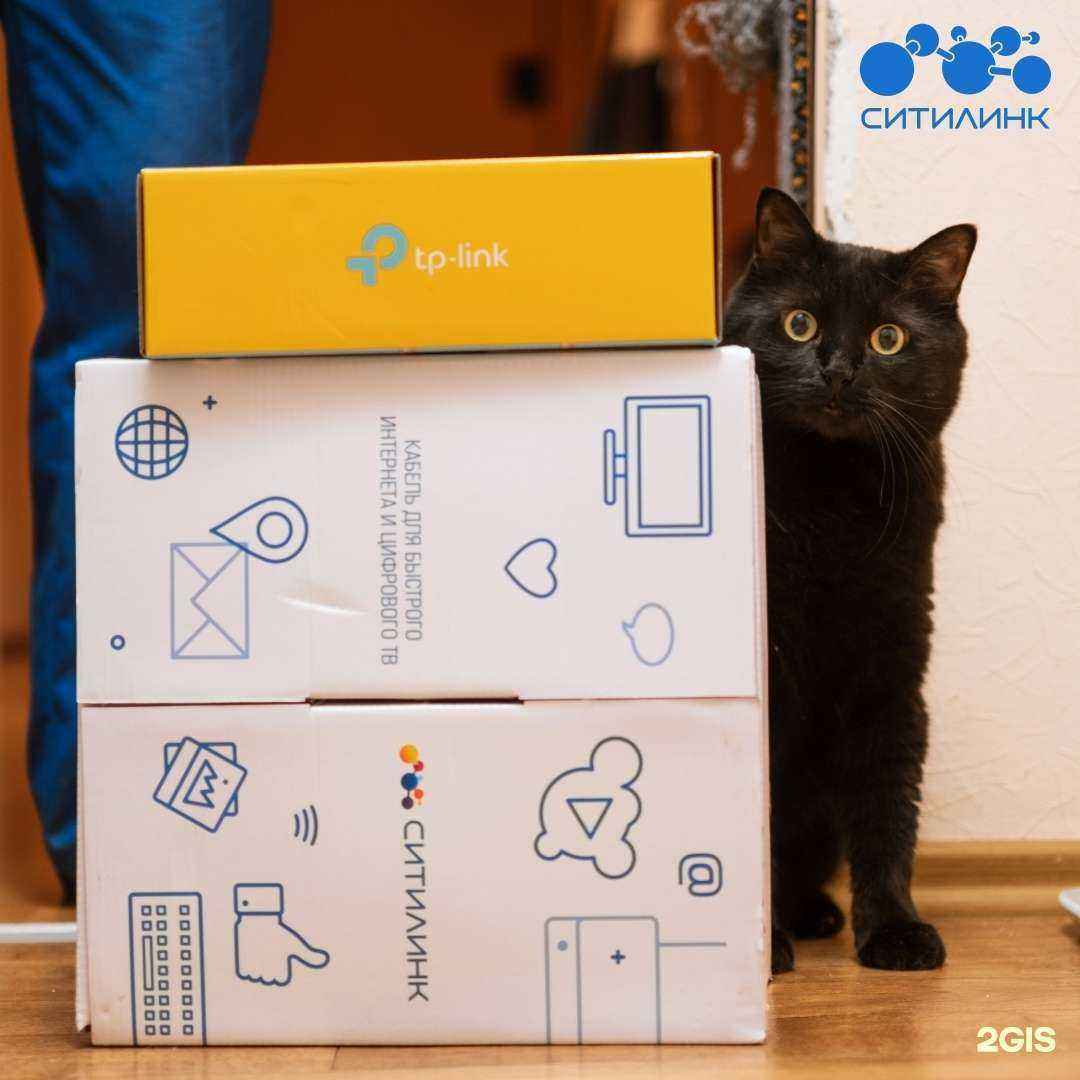 Отзывы на компанию Ситилинк в г. Мурманск c фото