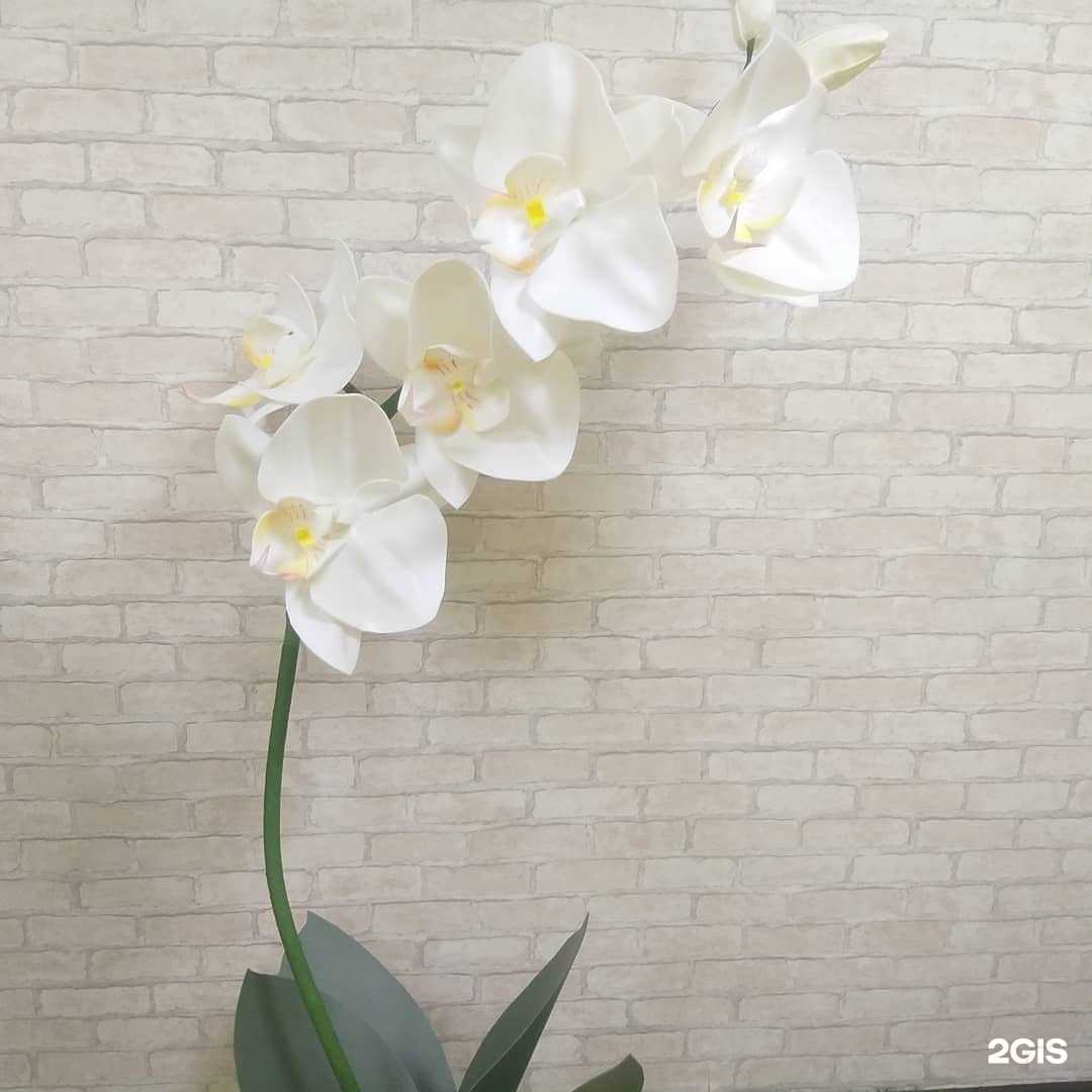 Отзывы на компанию Творить просто в г. Красноярск c фото