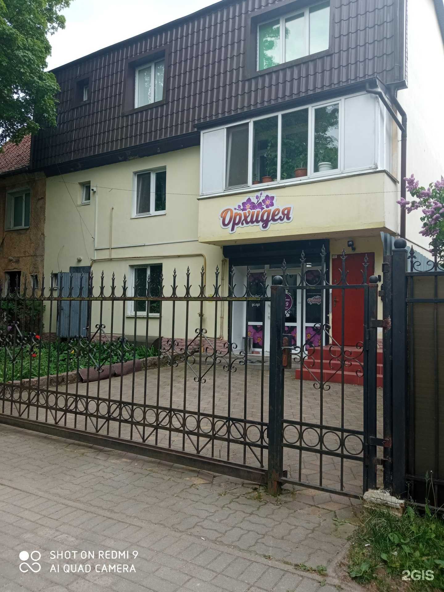 Отзывы на компанию Орхидея в г. Калининград c фото