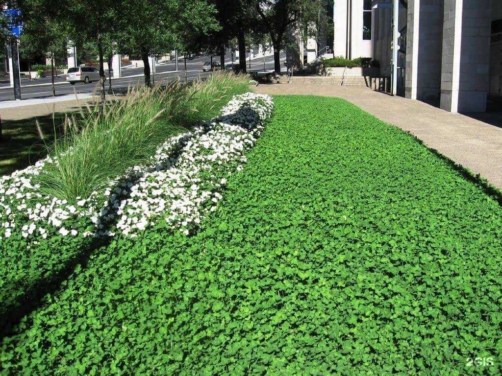 Отзывы на компанию Русские травы в Ростове-на-Дону c фото