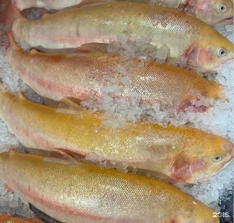 Отзывы на компанию Магазин рыбной продукции в Тюмени c фото