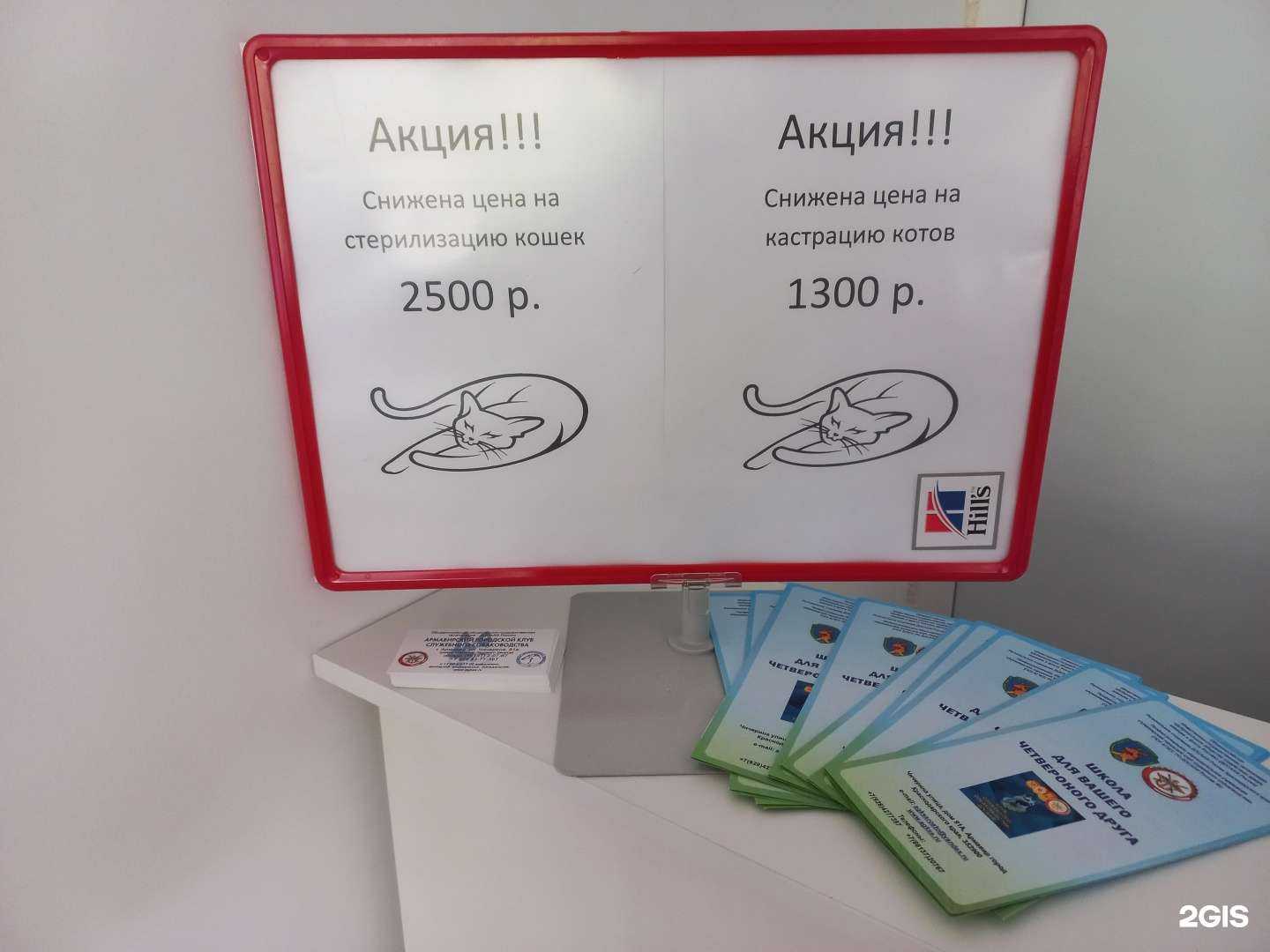 Отзывы на компанию Вета в Армавире c фото