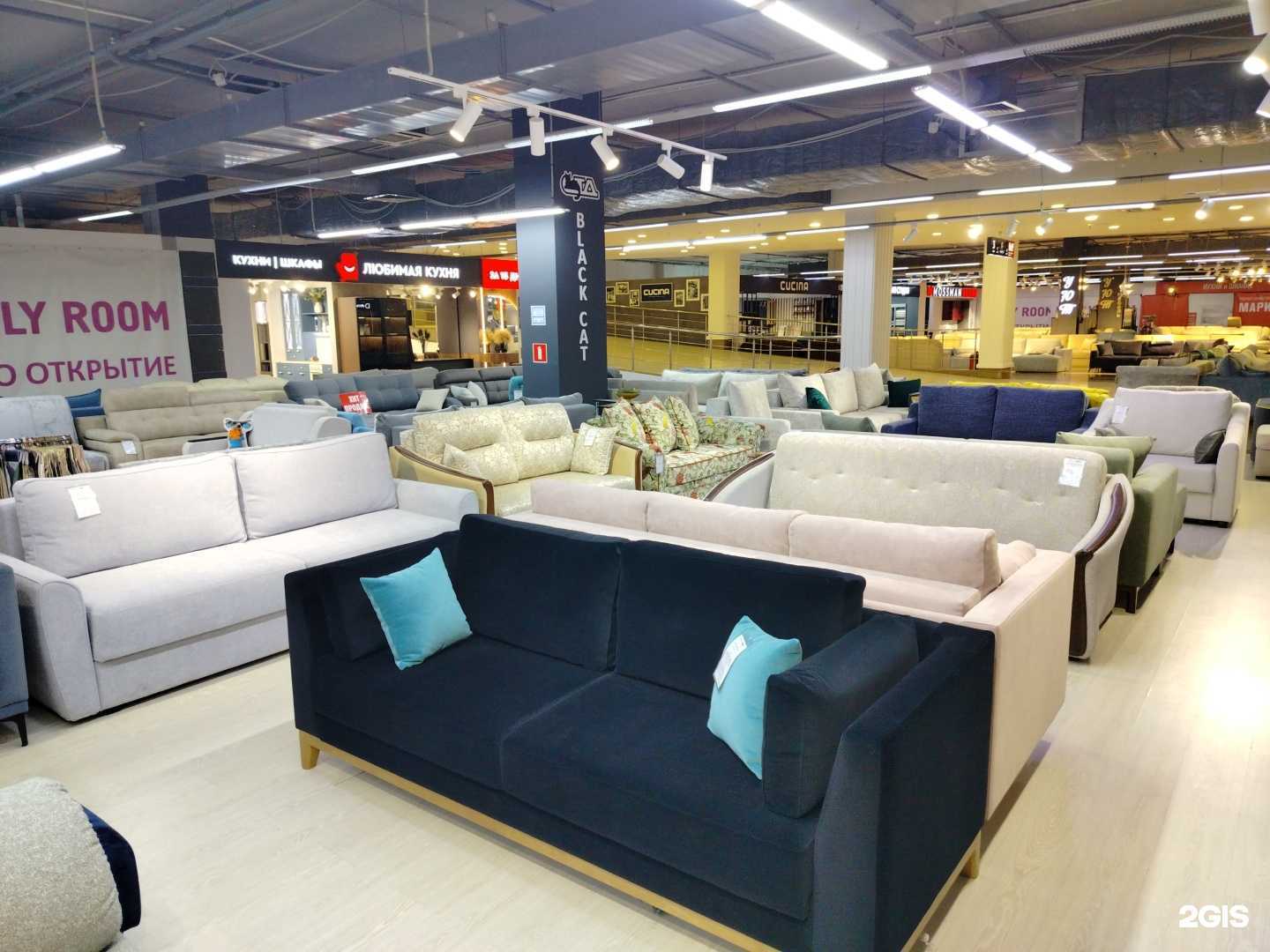 Отзывы на компанию Black cat в Реутове c фото