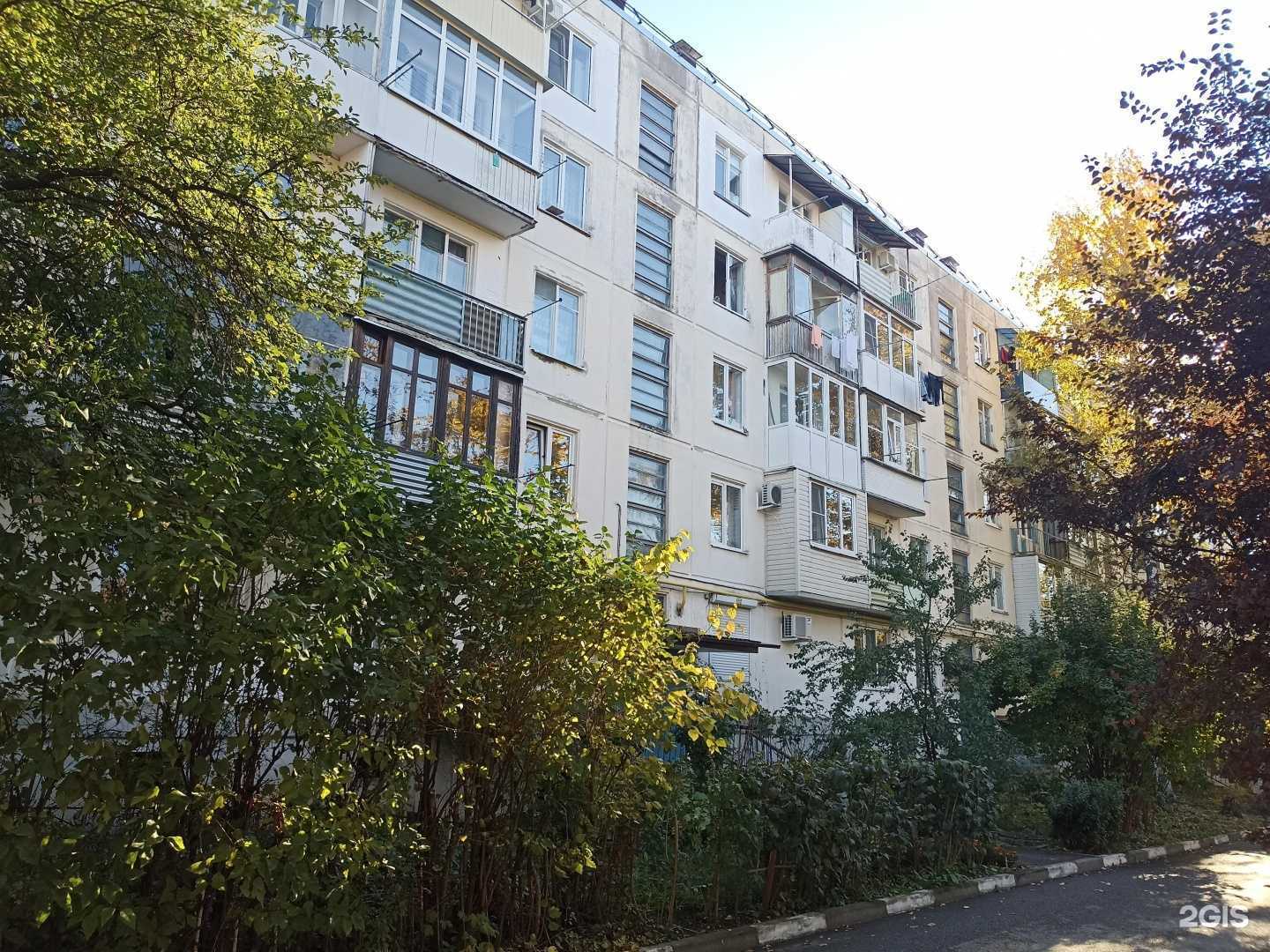 Отзывы на компанию 4 лапы в Пятигорске c фото - фотография 2 из 2