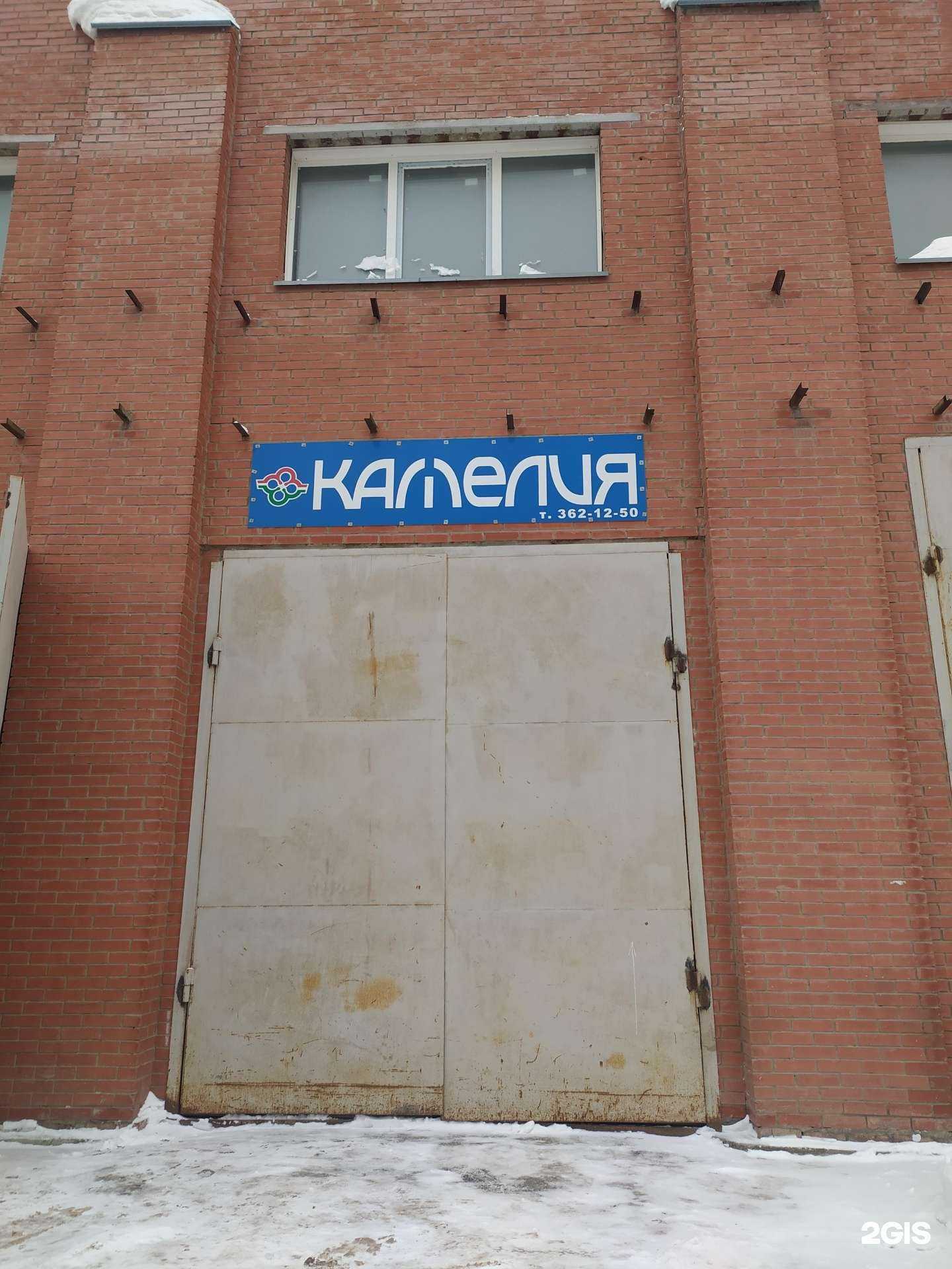 Отзывы на компанию Камелия в Новосибирске c фото