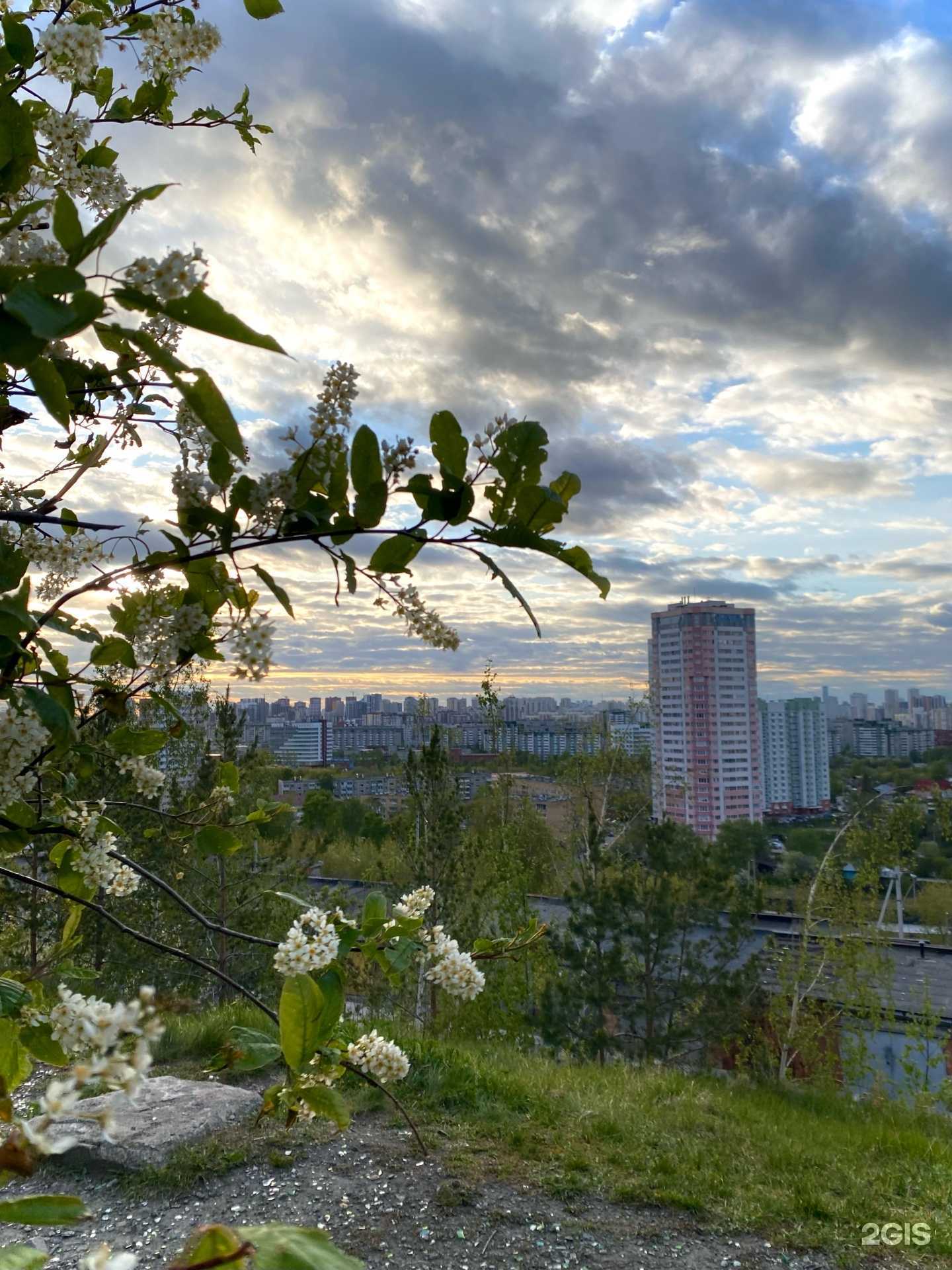 Отзывы на компанию Селена в г. Екатеринбург c фото