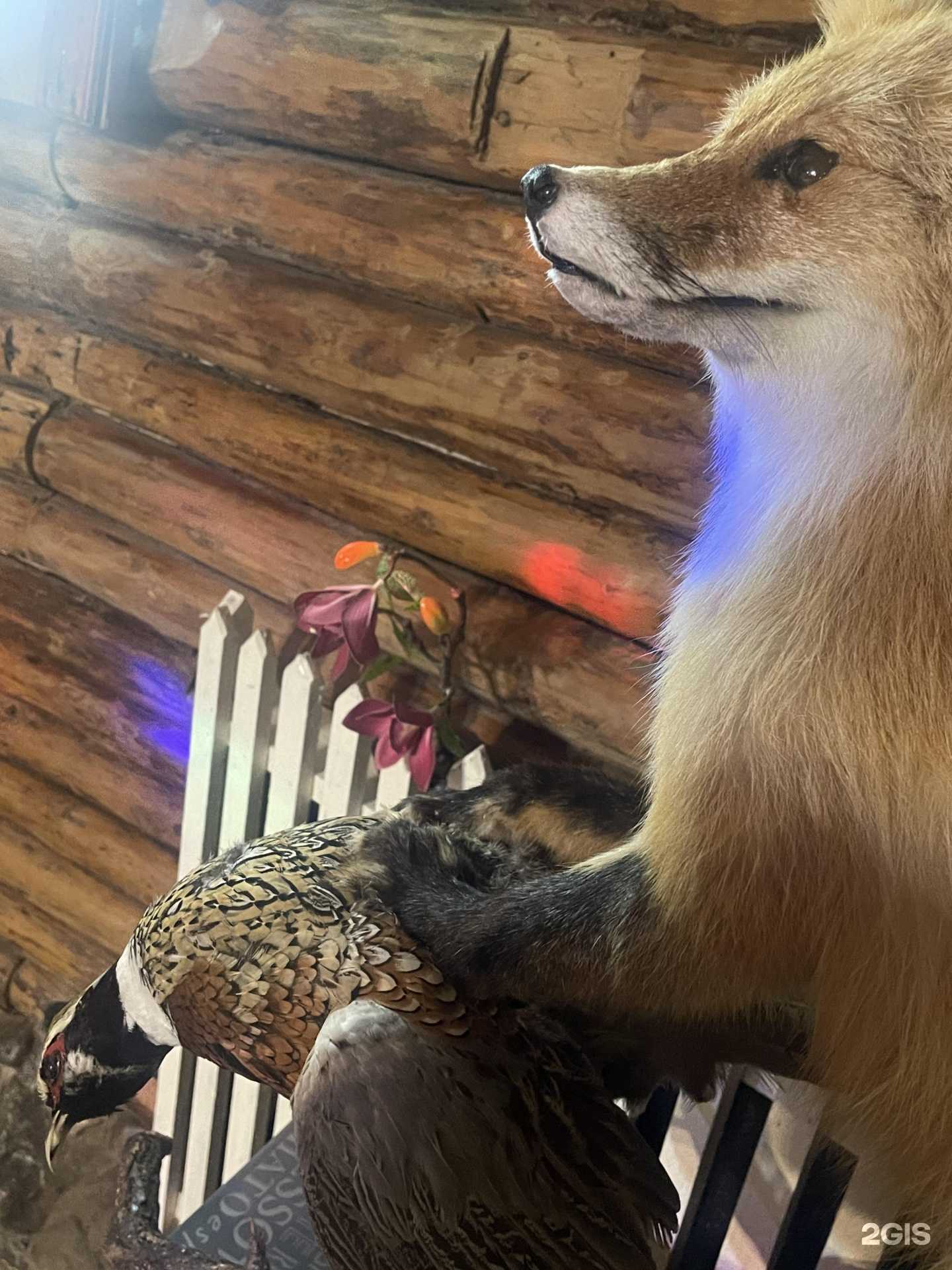 Отзывы на компанию Хижина охотника в г. Владивосток c фото