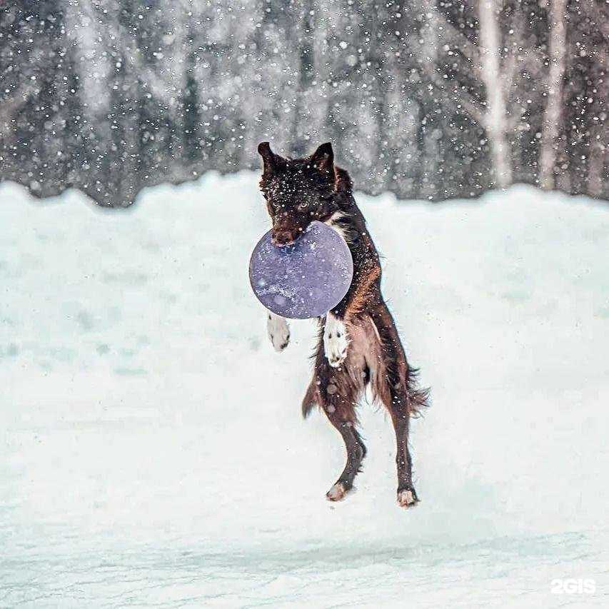 Отзывы на компанию Крошка Енот в Серпухове c фото