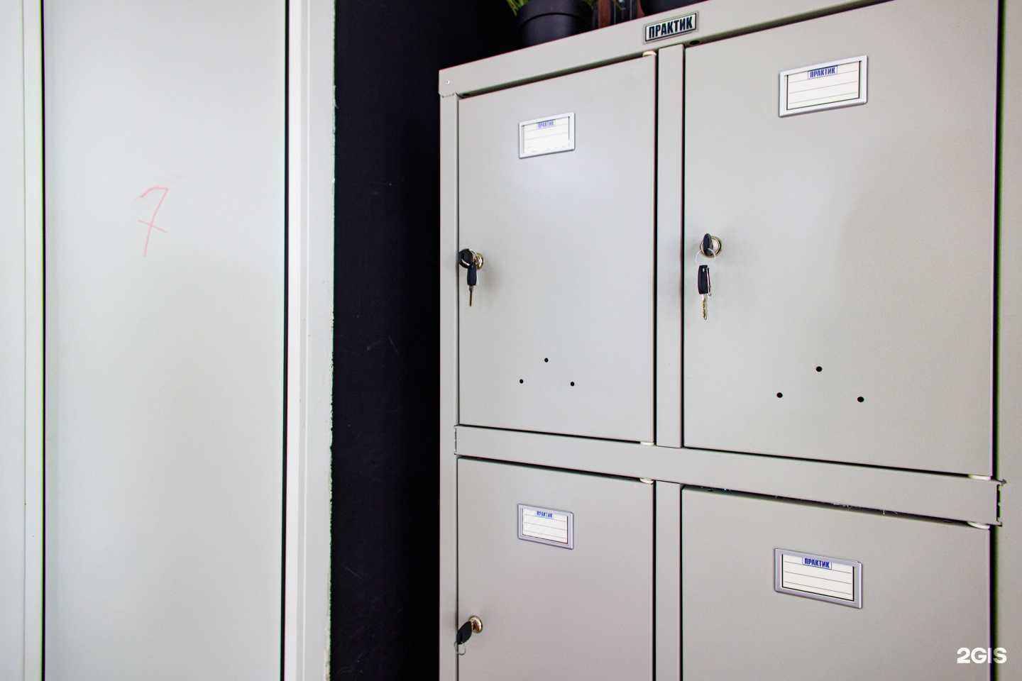 Отзывы на компанию Studyca в Владимире c фото