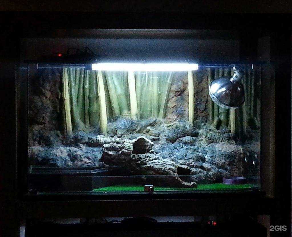 Отзывы на компанию Repti.ru в г. Екатеринбург c фото