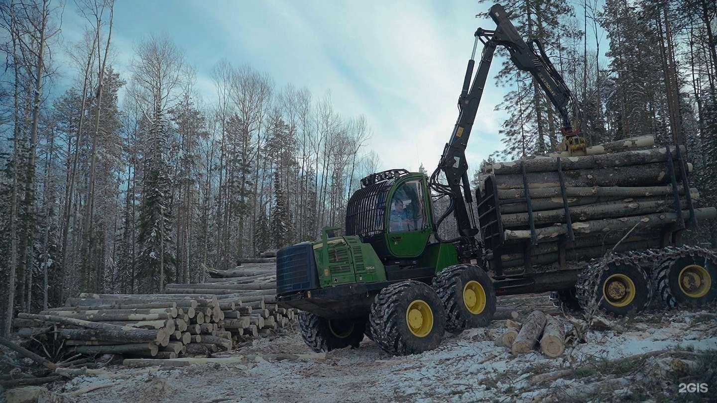 Отзывы на компанию Дивный лес в Казани c фото