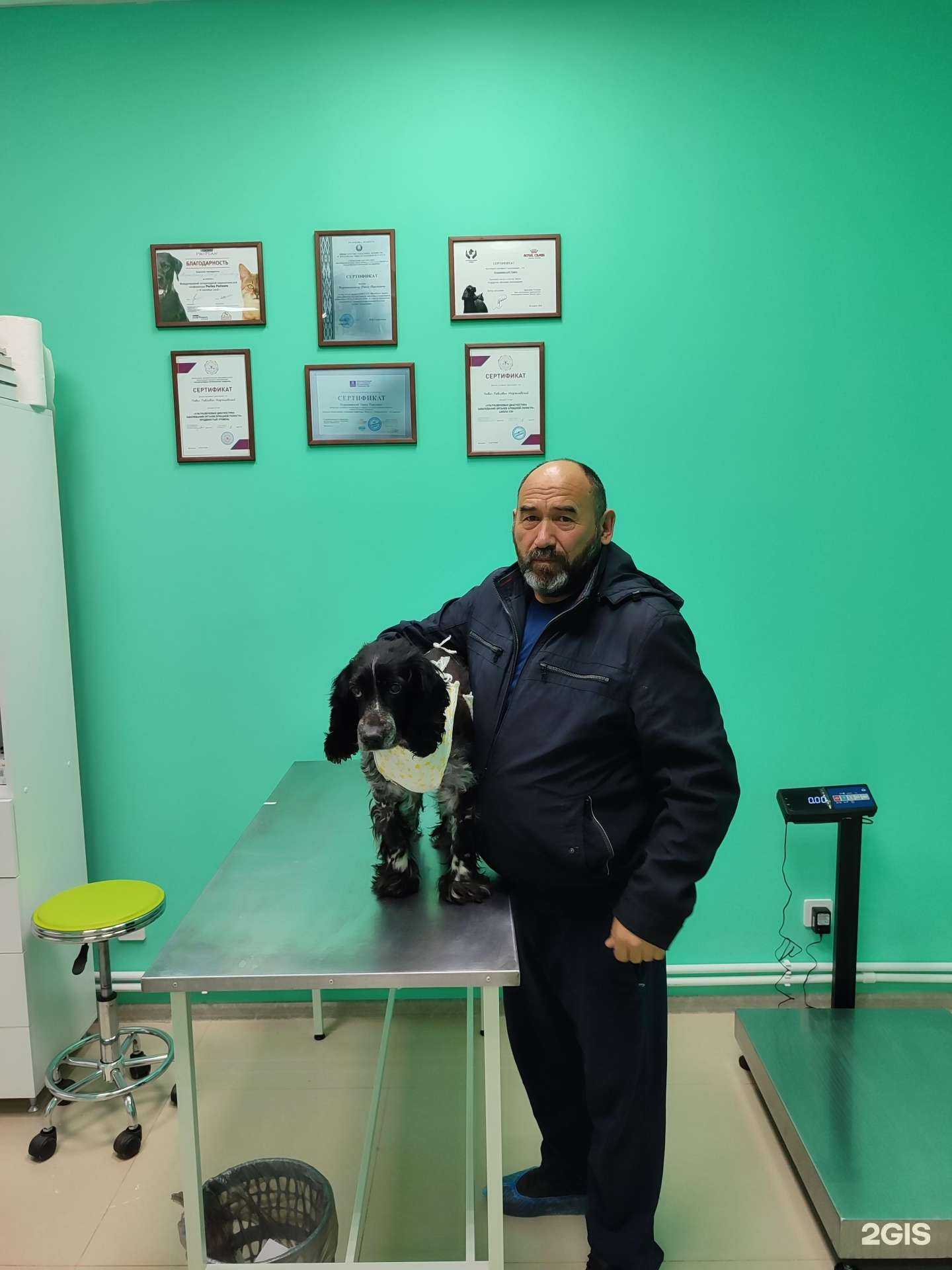 Отзывы на компанию Лапа в г. Краснодар c фото