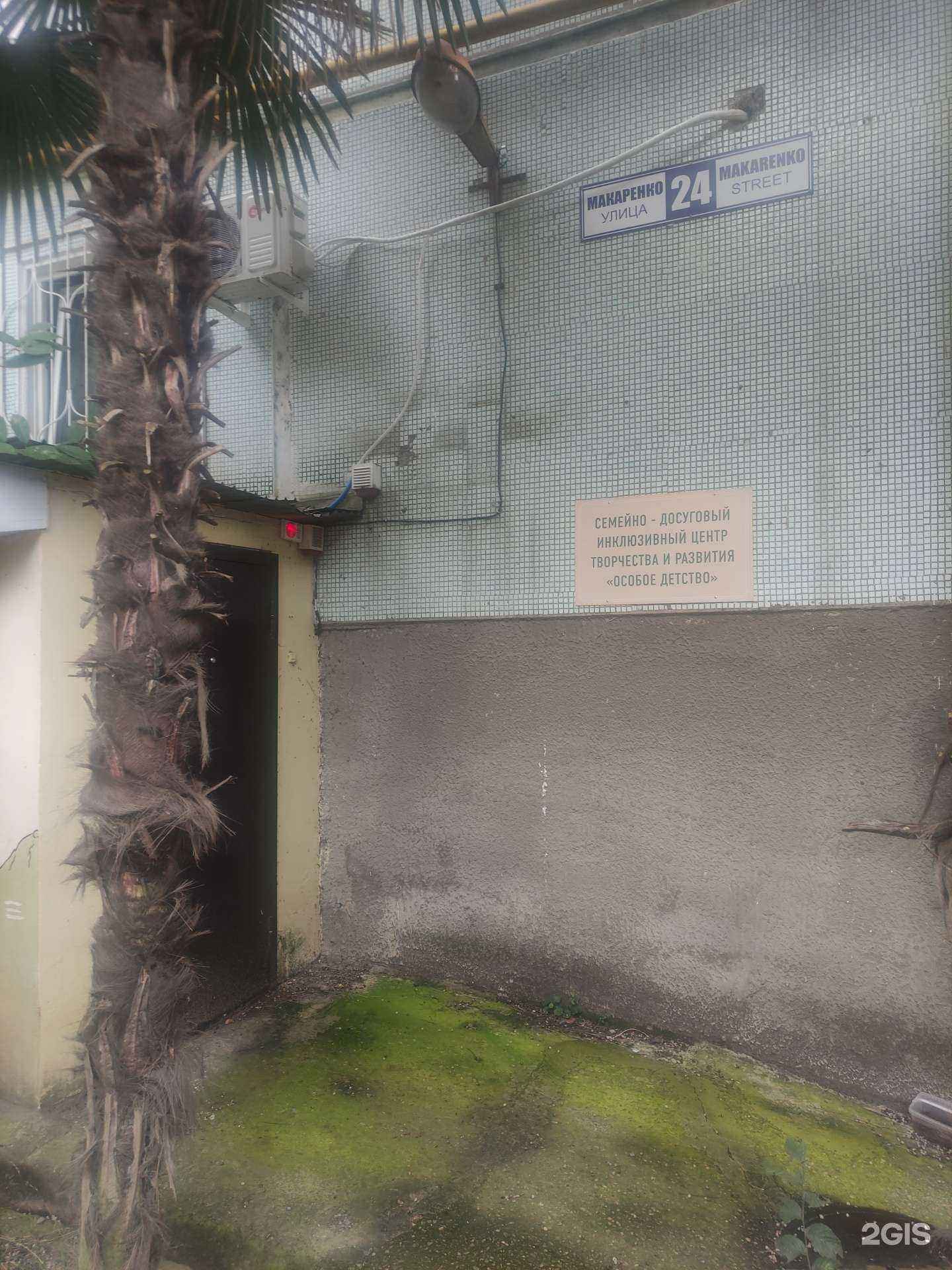 Отзывы на компанию Особое детство в Сочи c фото