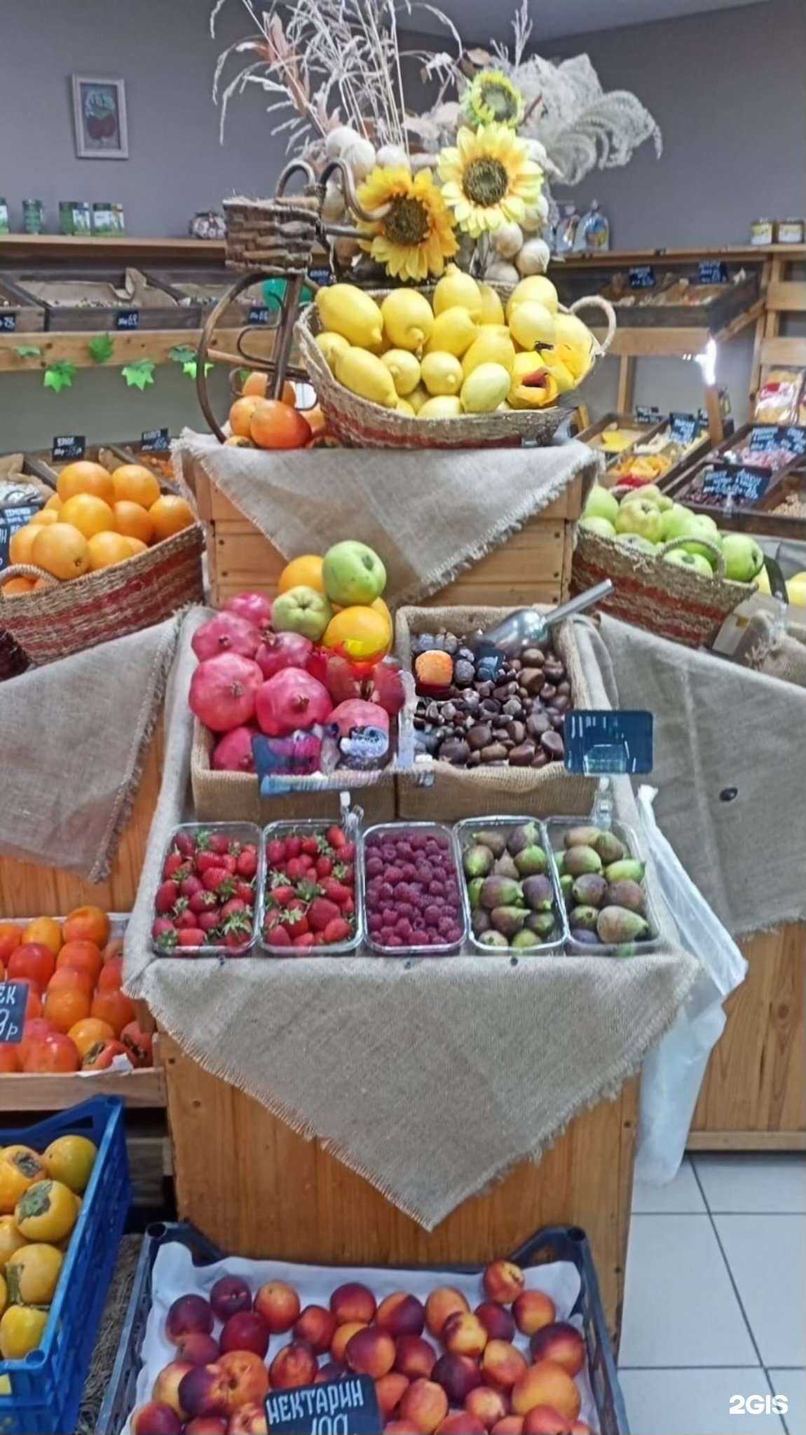 Отзывы на компанию Базилик в Краснодаре c фото