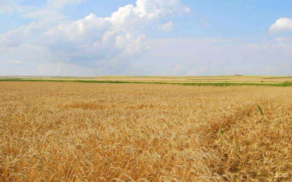 Отзывы на компанию Сибирские колбасы в г. Новосибирск c фото