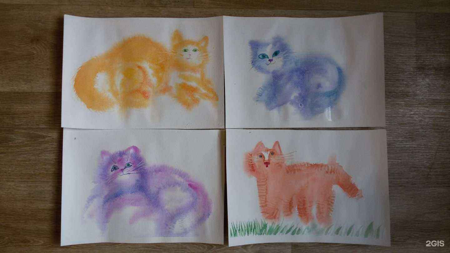 Отзывы на компанию Бирюзовый кот в Тюмени c фото
