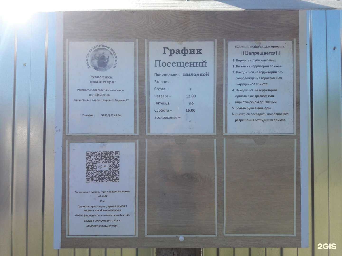 Отзывы на компанию Хвостики в Кирове c фото