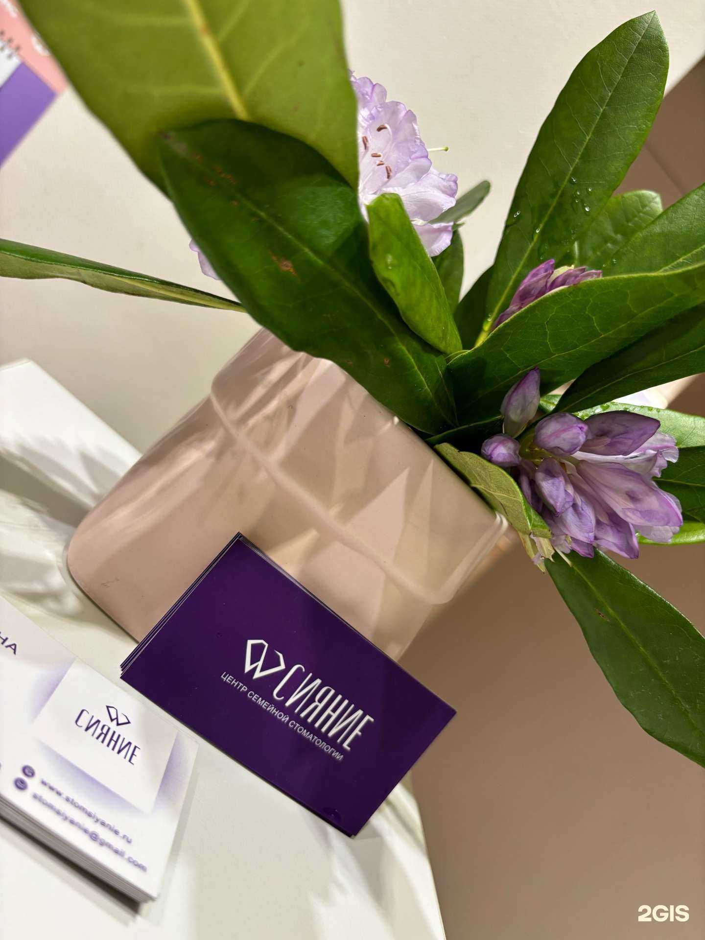 Отзывы на компанию Сияние в Ростове-на-Дону c фото