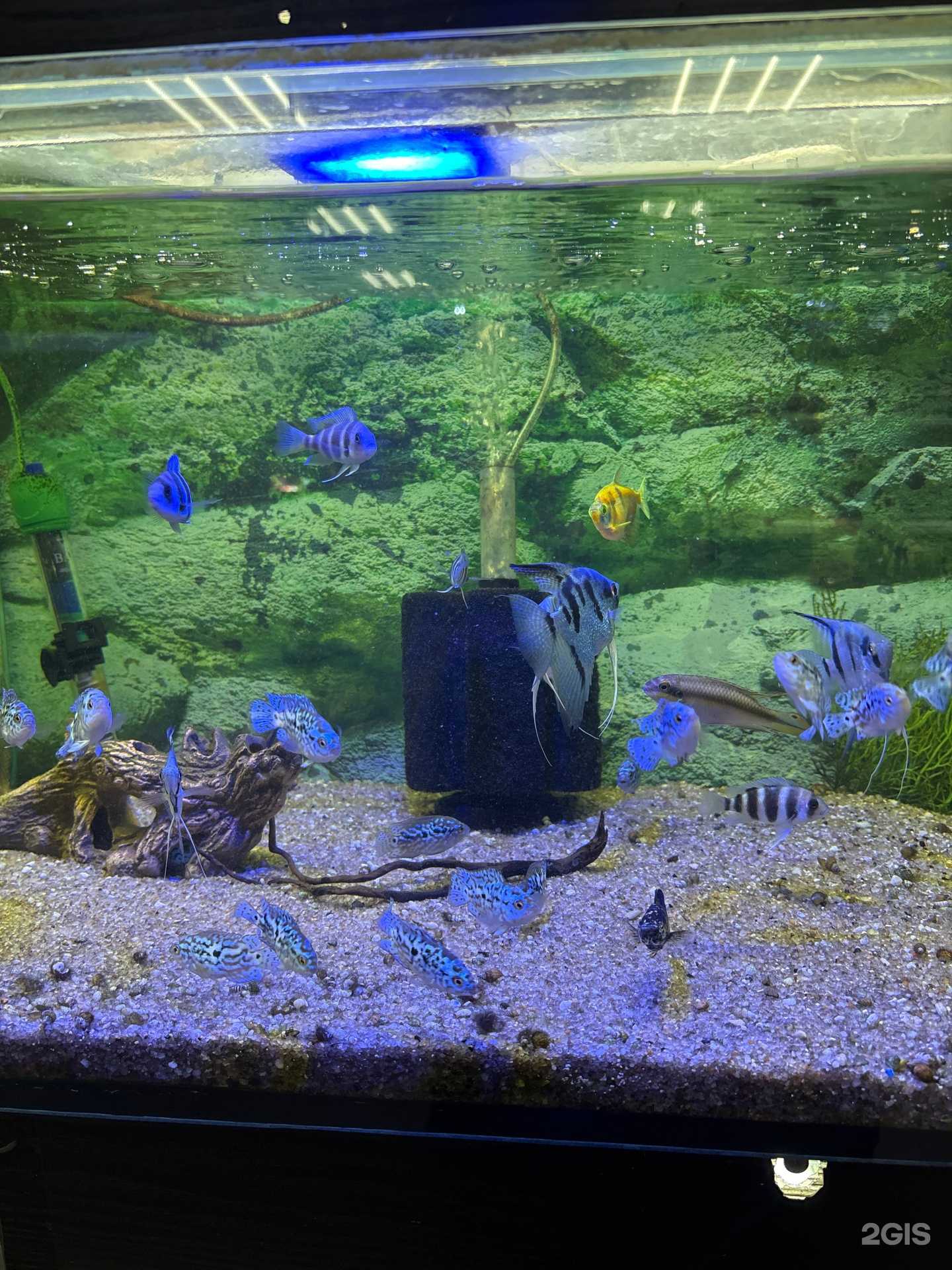 Отзывы на компанию Аква-Мир в Ставрополе c фото