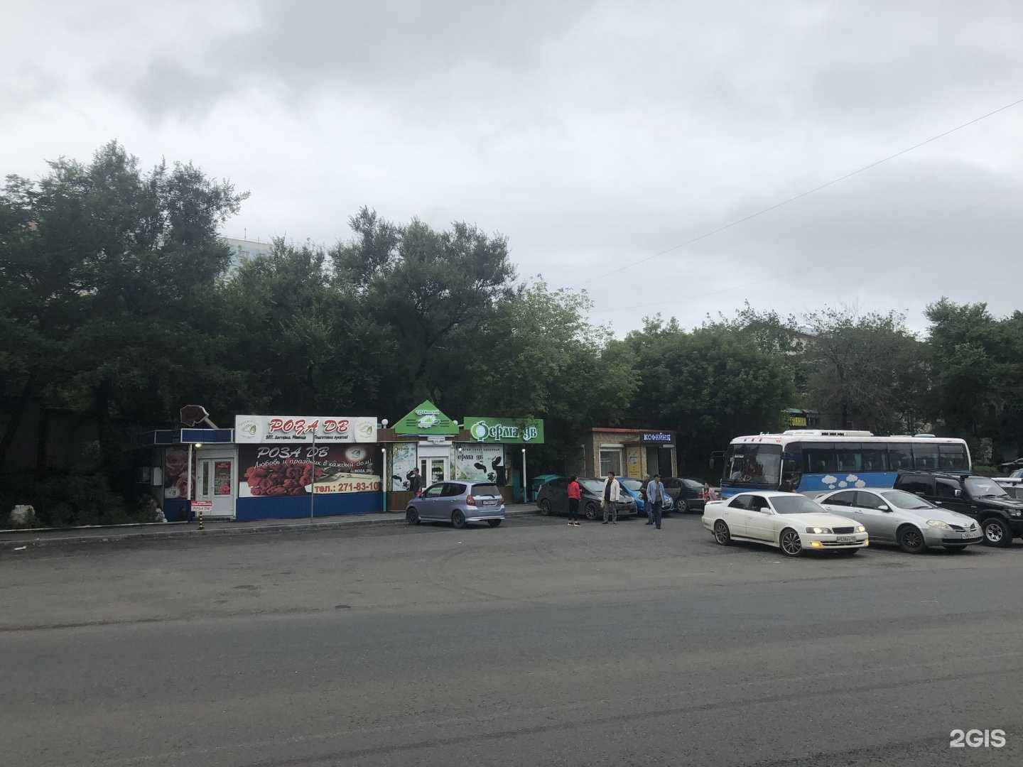 Отзывы на компанию Роза ДВ в Владивостоке c фото - фотография 2 из 2