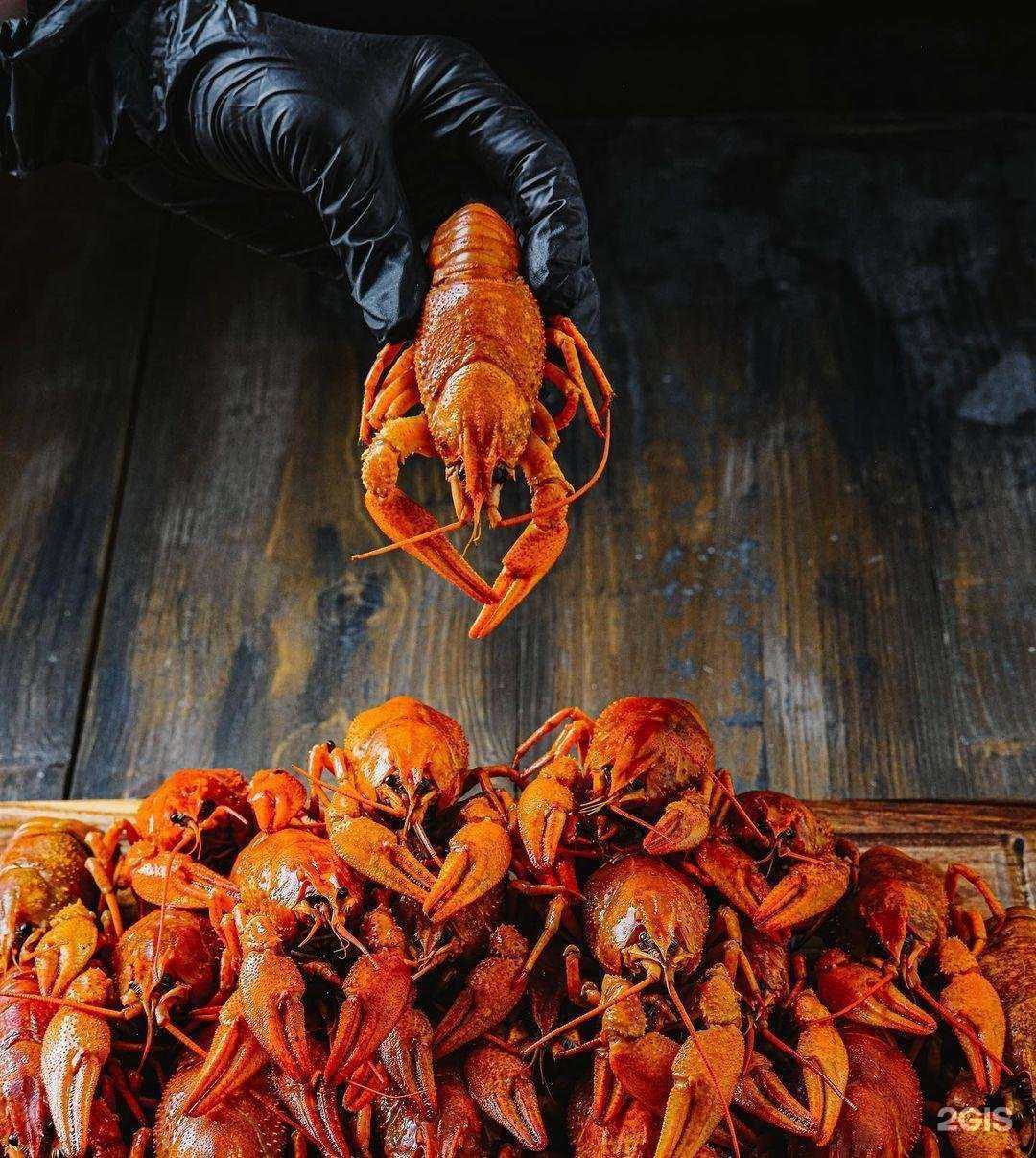 Отзывы на компанию Две клешни в Туле c фото