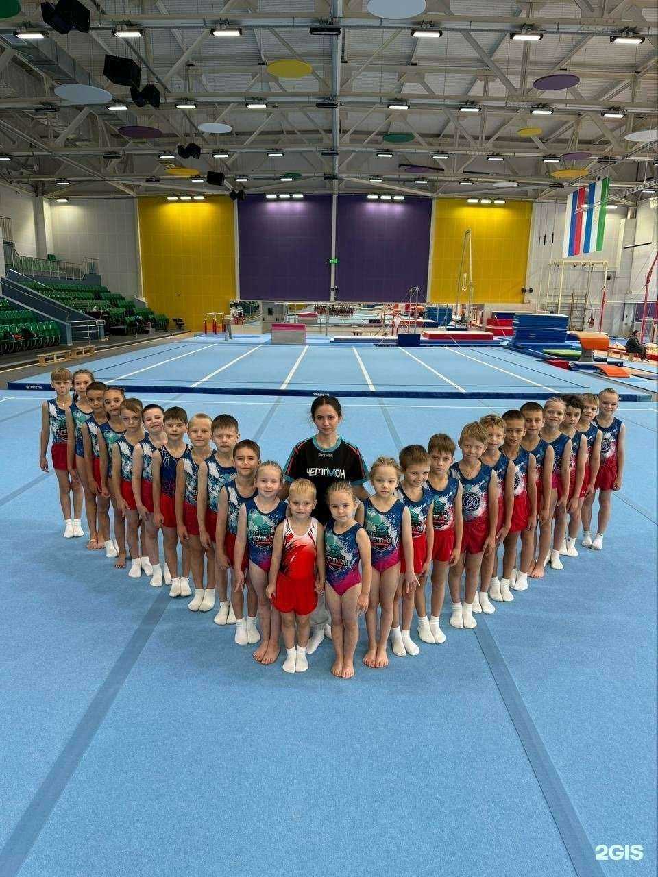 Отзывы на компанию Чемпион в Екатеринбурге c фото