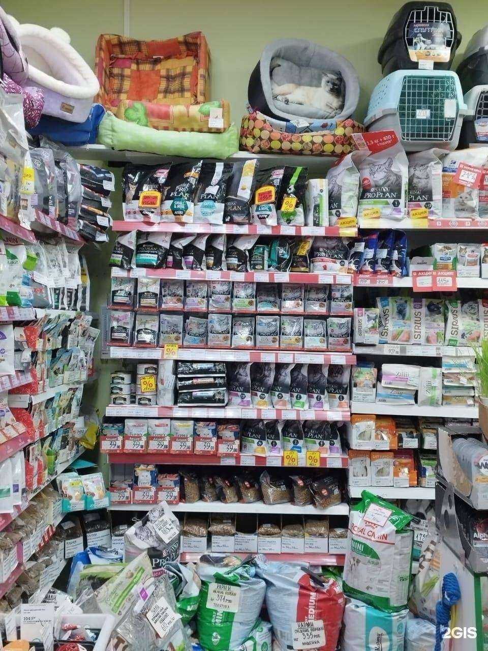 Отзывы на компанию Зверолаш в г. Киров c фото